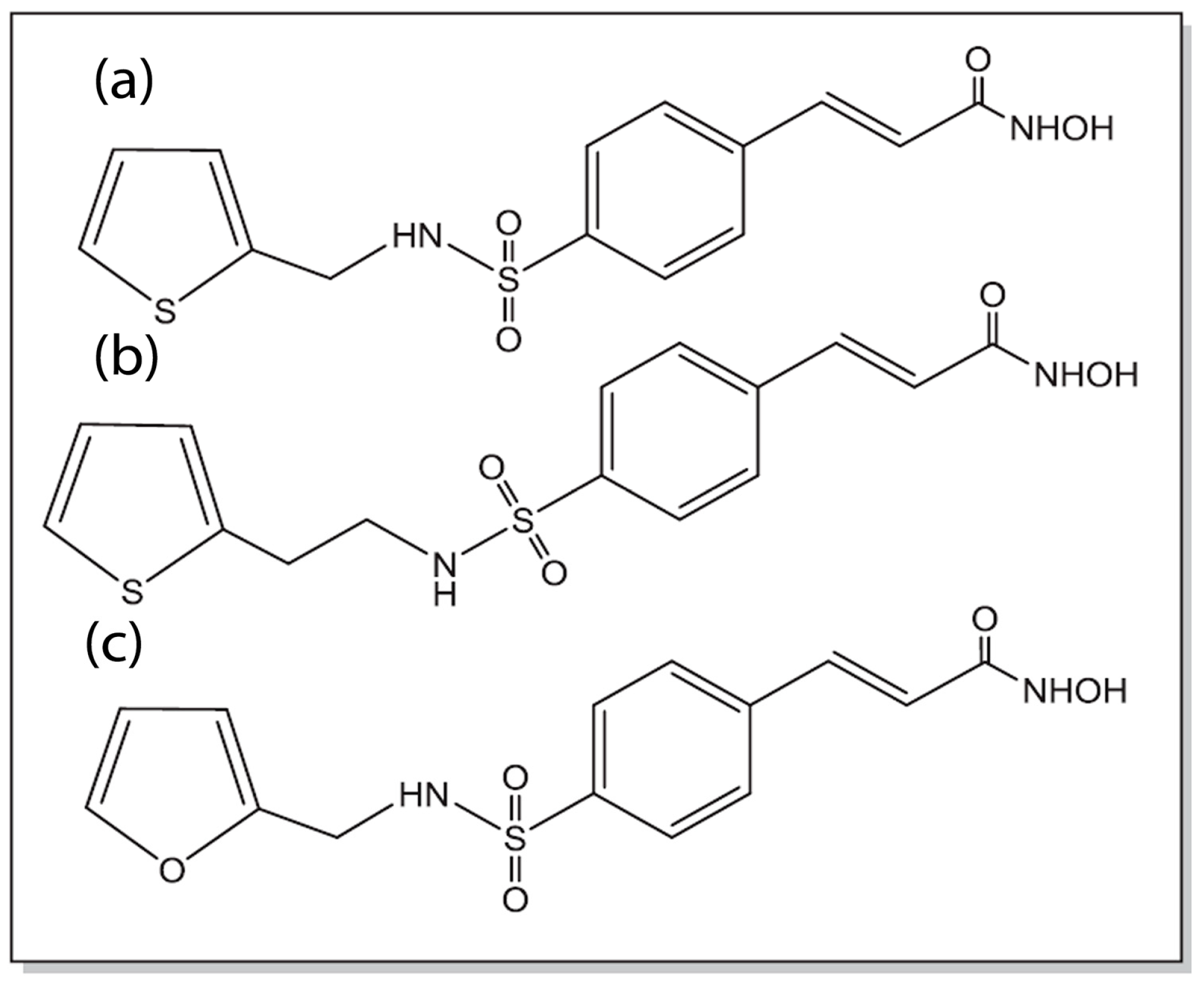 Macromol 05 00013 g008