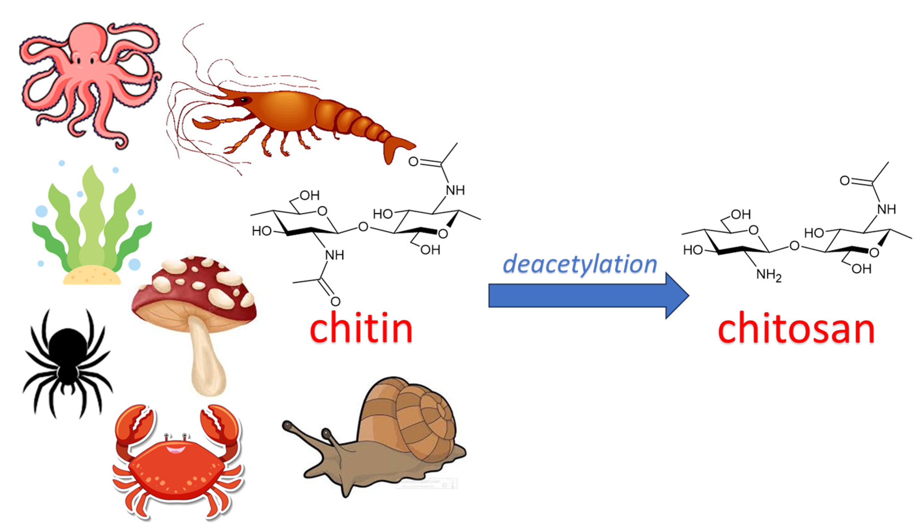 Macromol 05 00015 g001