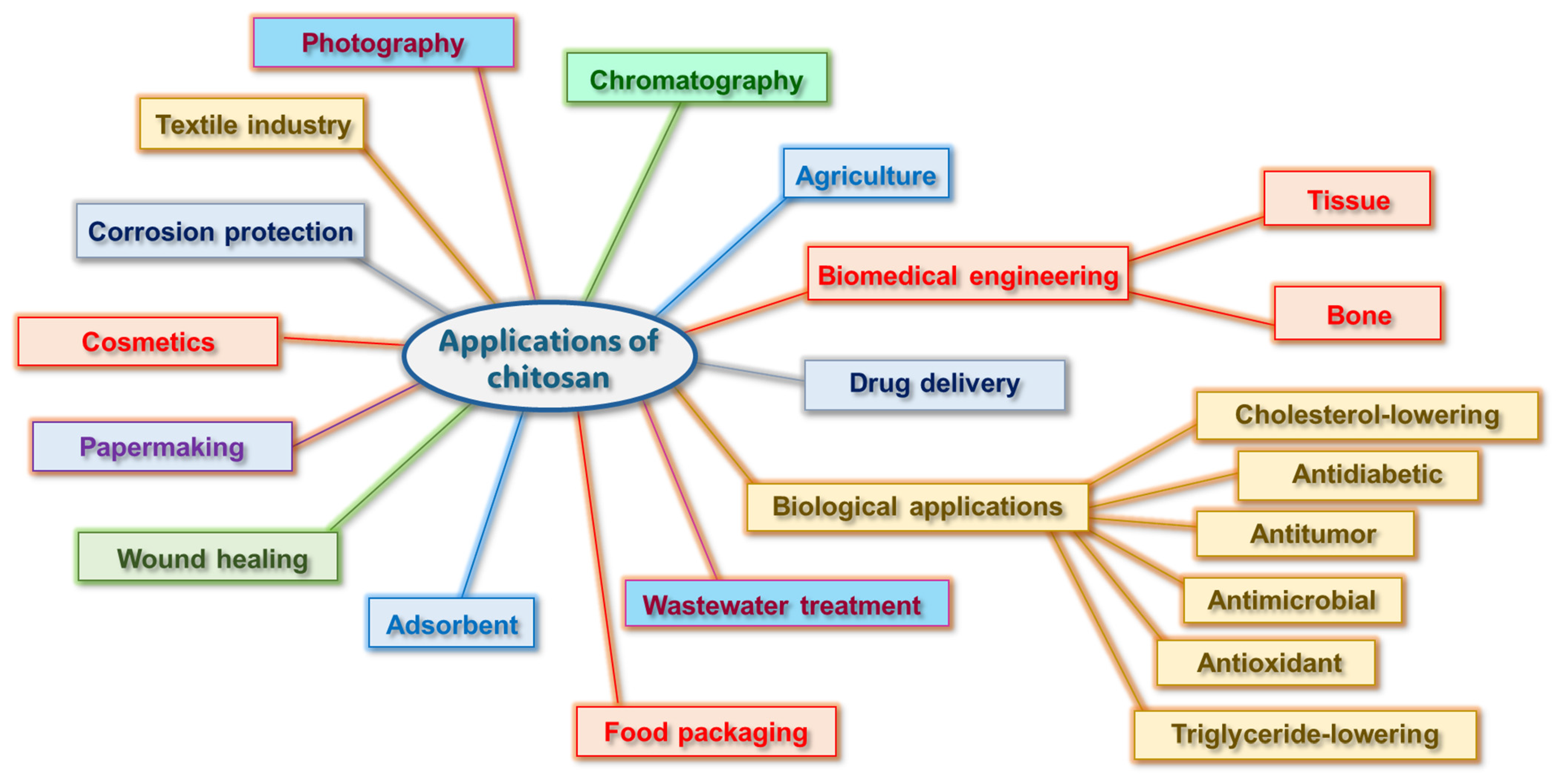 Macromol 05 00015 g002