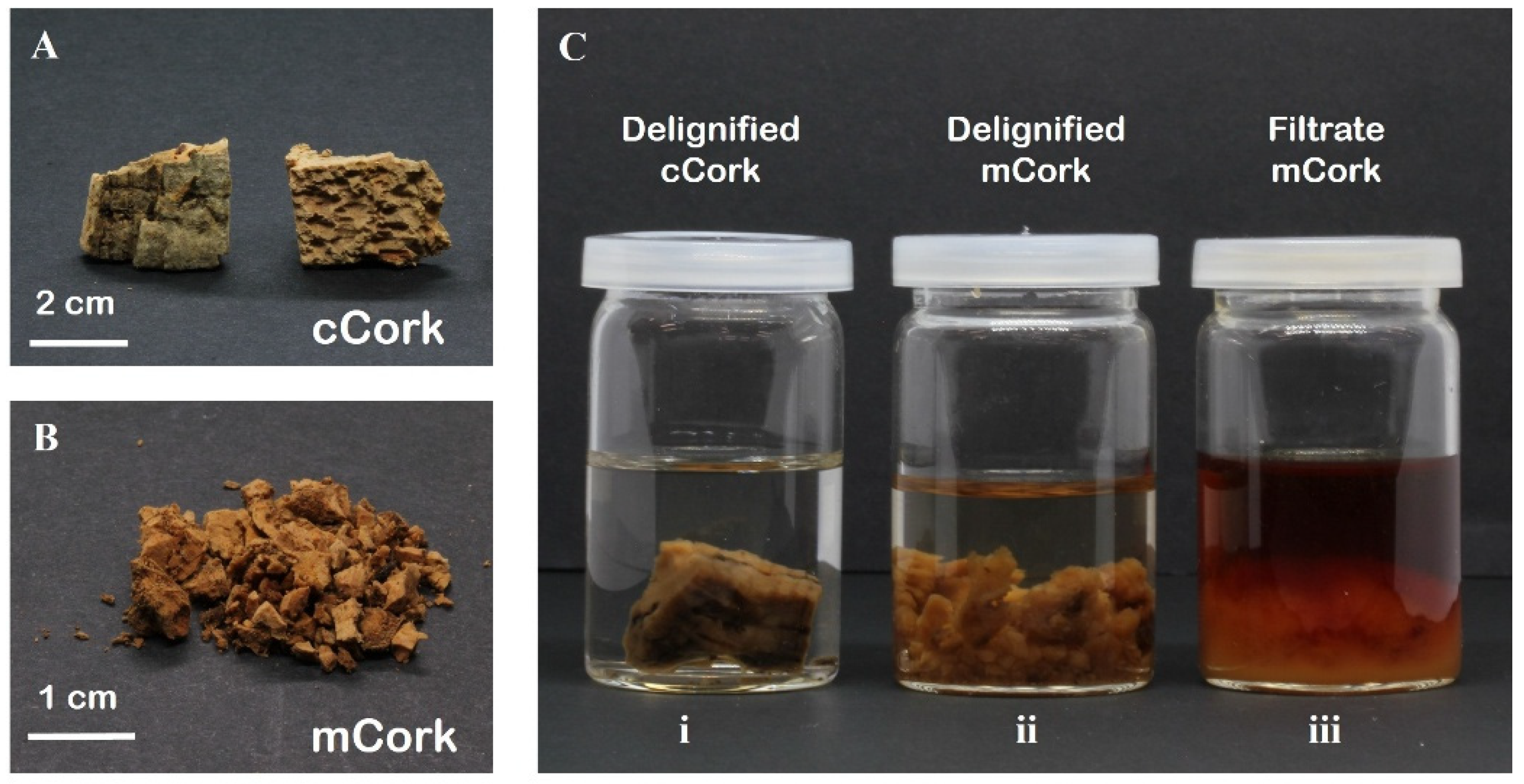 Macromol 05 00017 g001