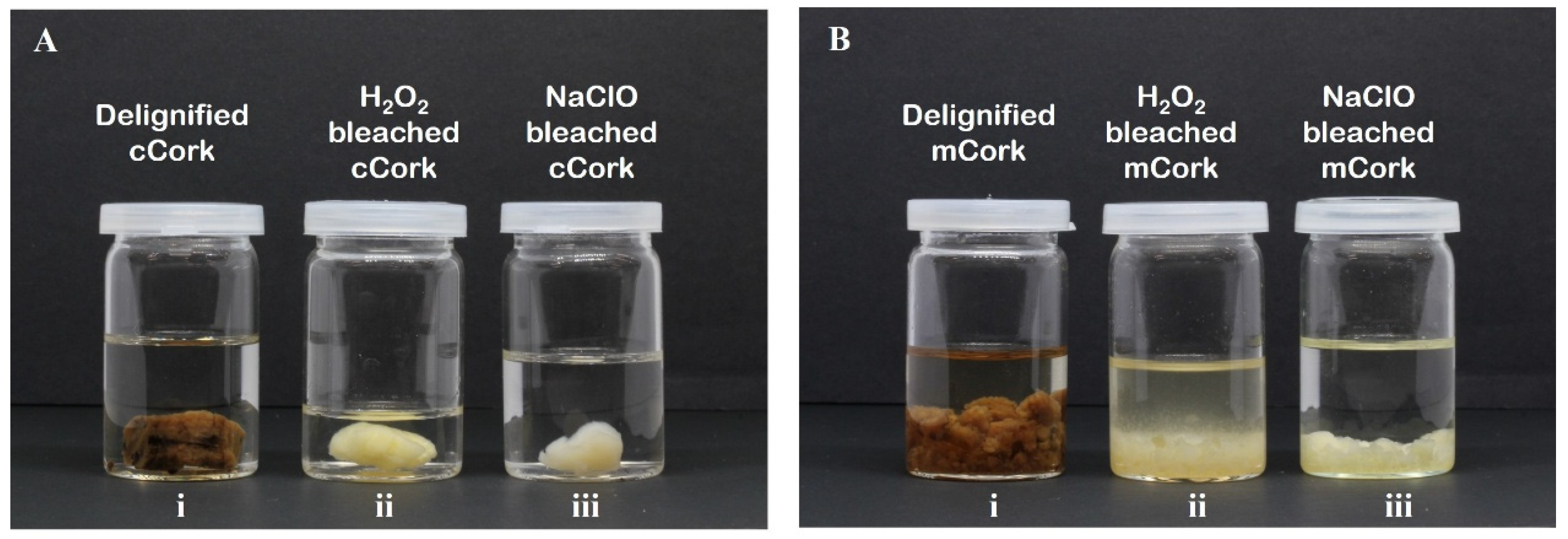 Macromol 05 00017 g002