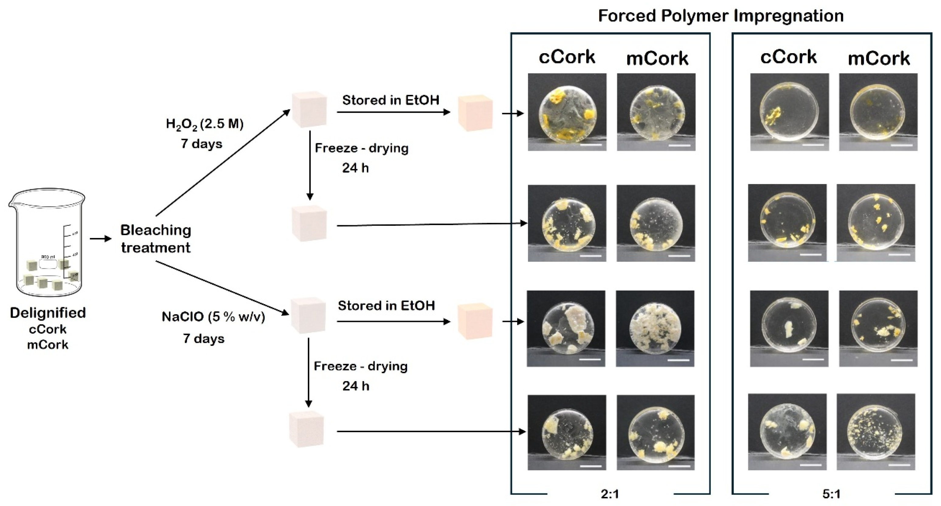 Macromol 05 00017 g003