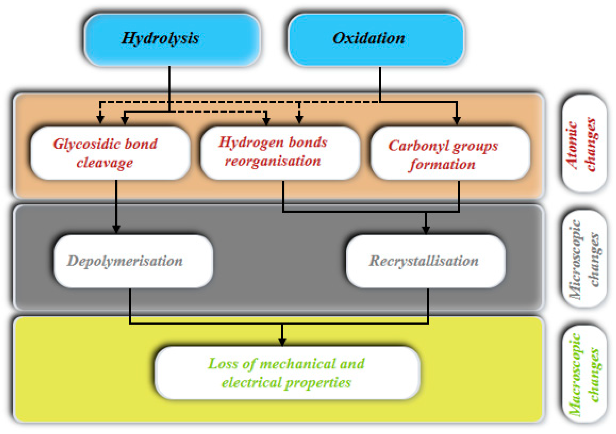 Macromol 05 00020 g003