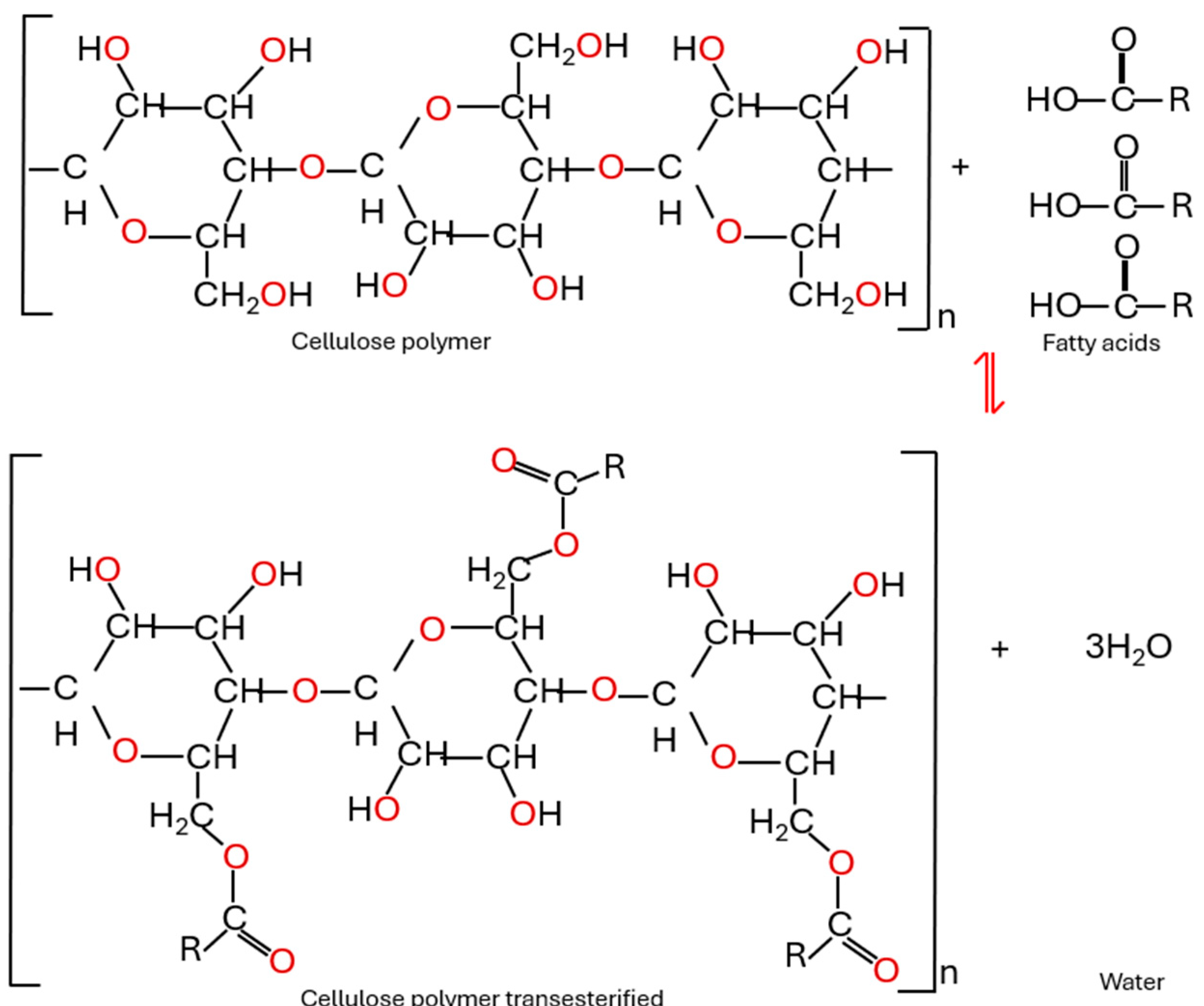 Macromol 05 00020 g012