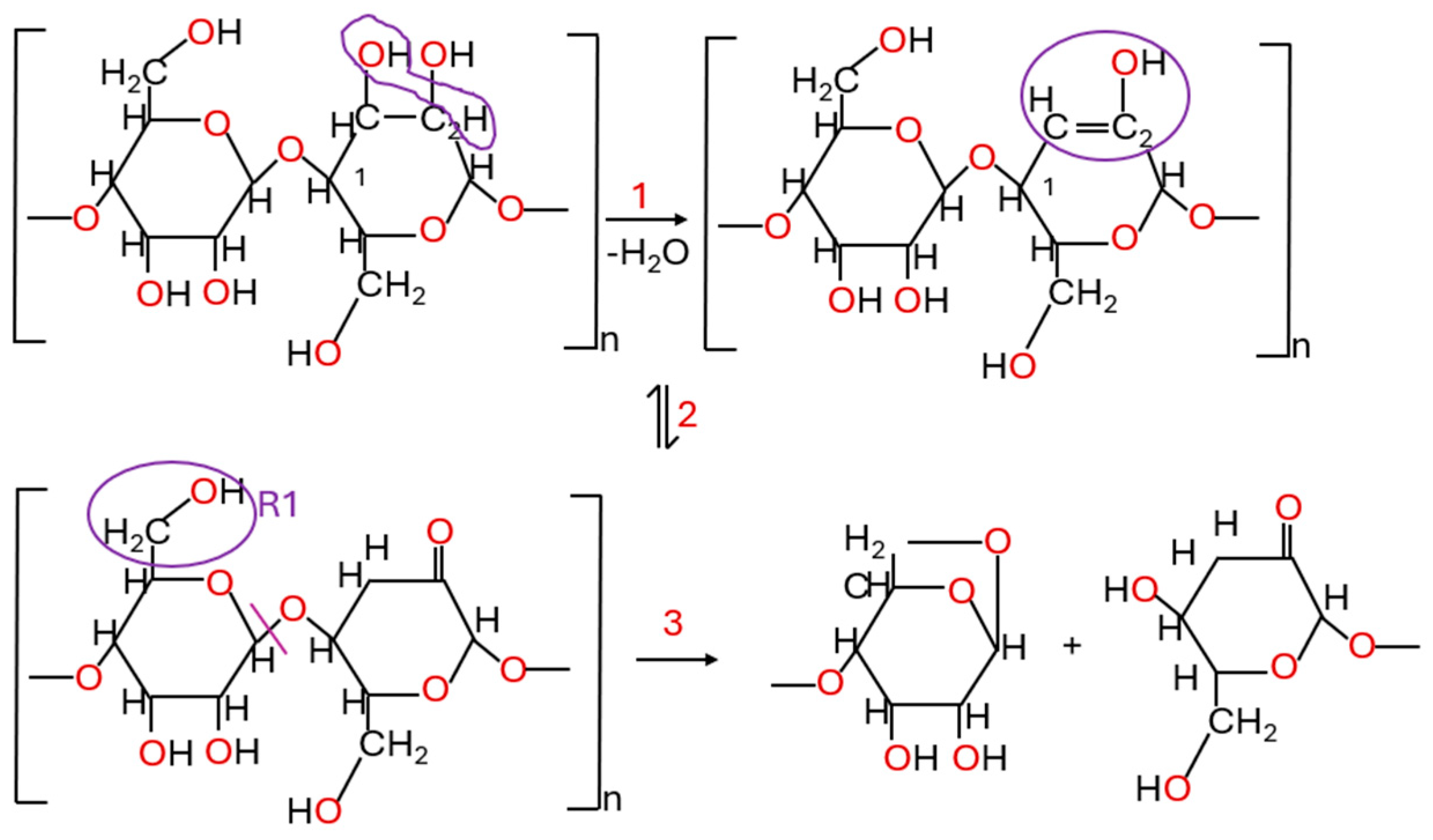 Macromol 05 00020 g013