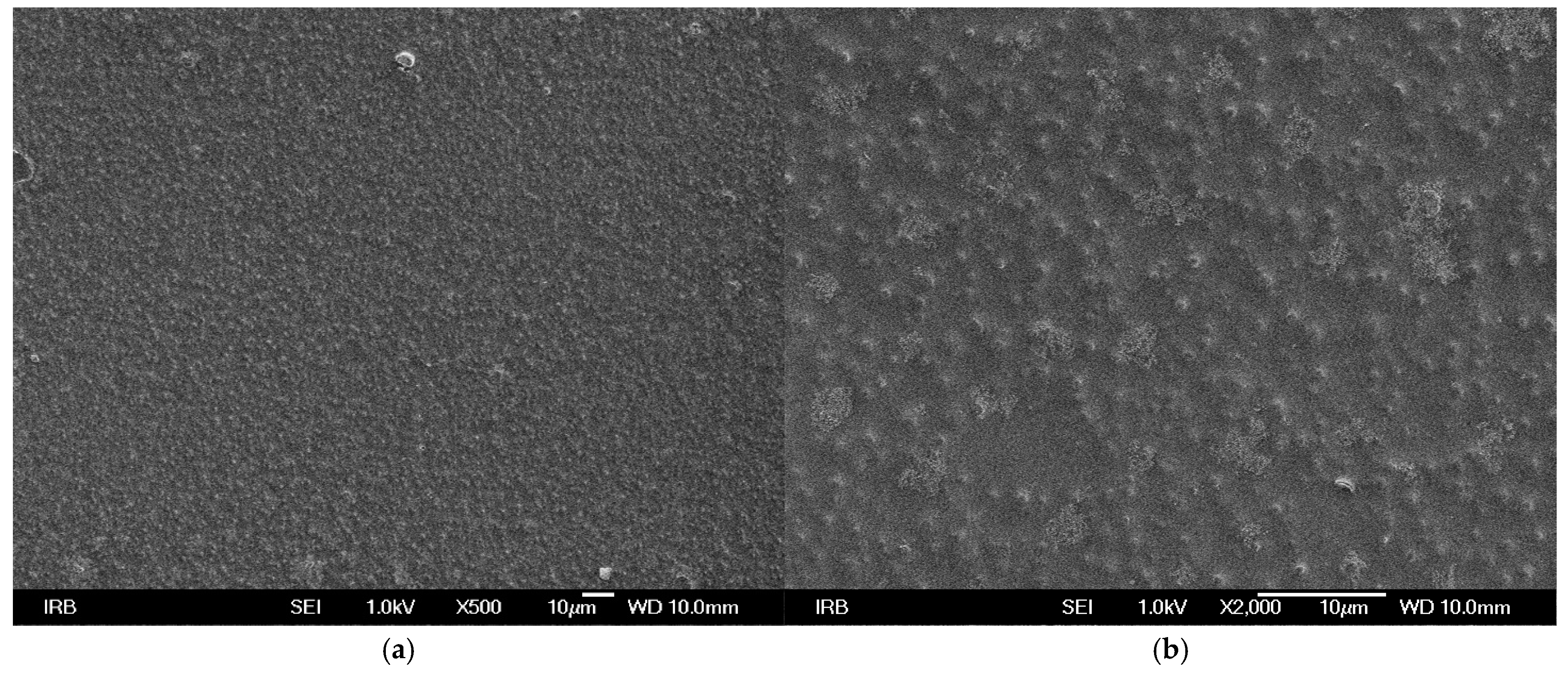 Macromol 05 00022 g001