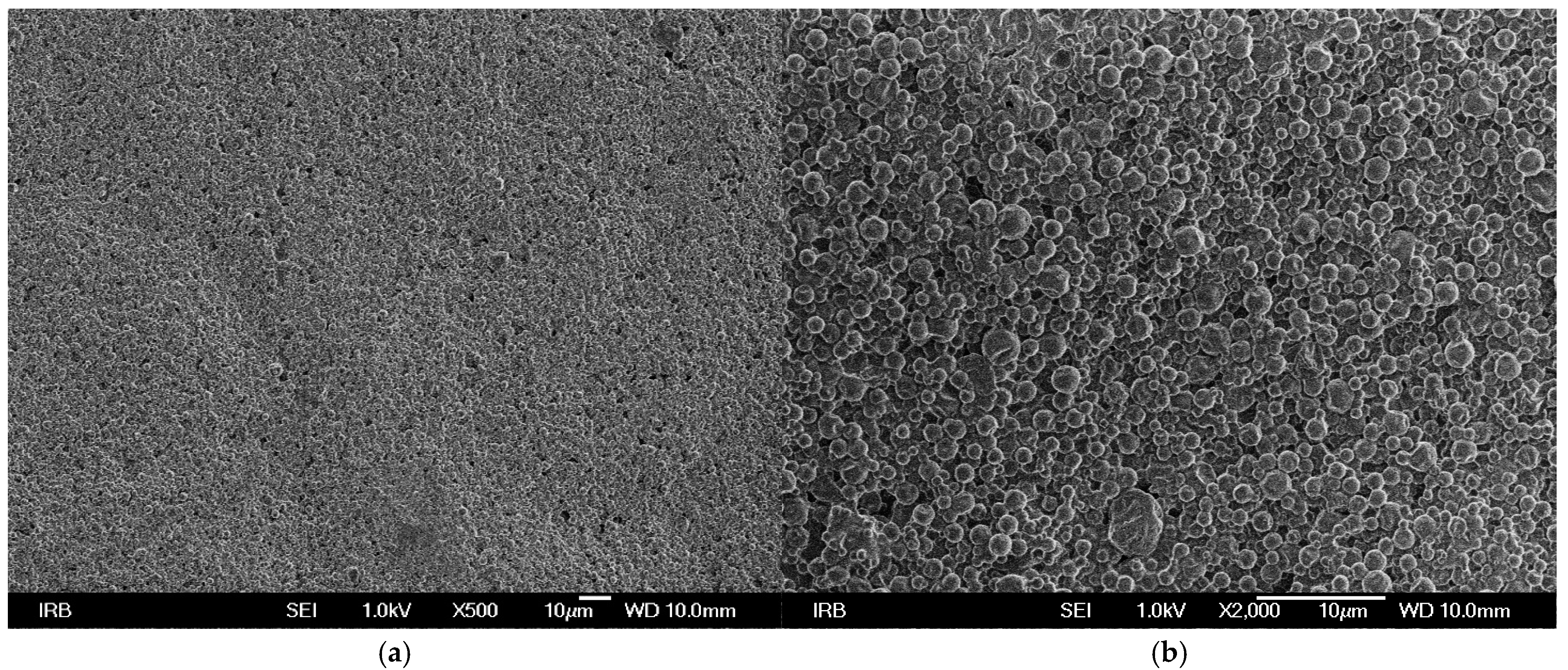 Macromol 05 00022 g002