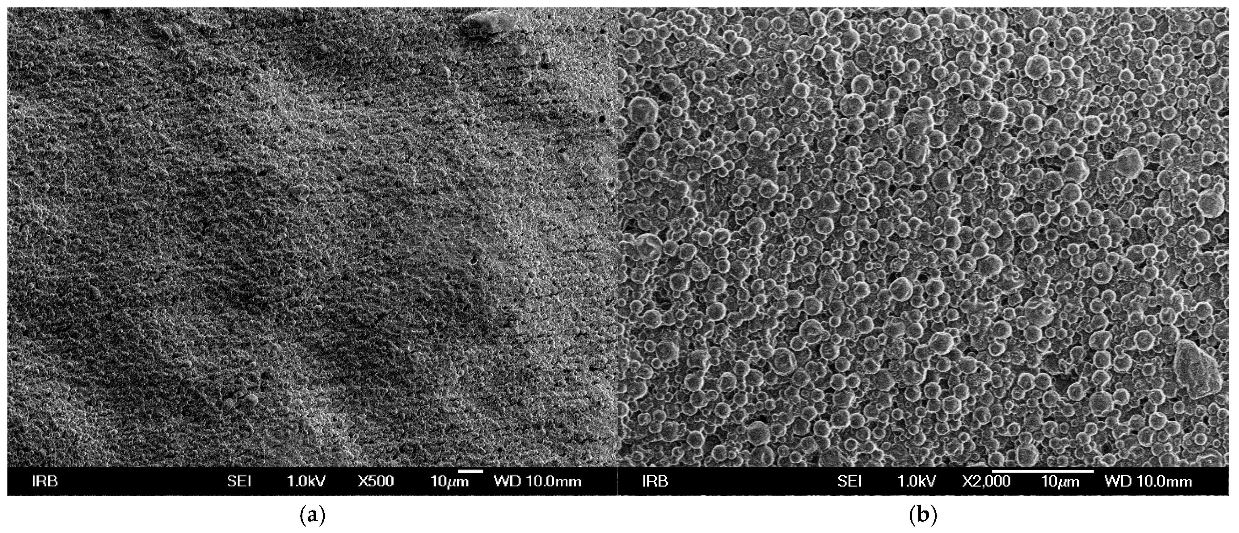Macromol 05 00022 g003
