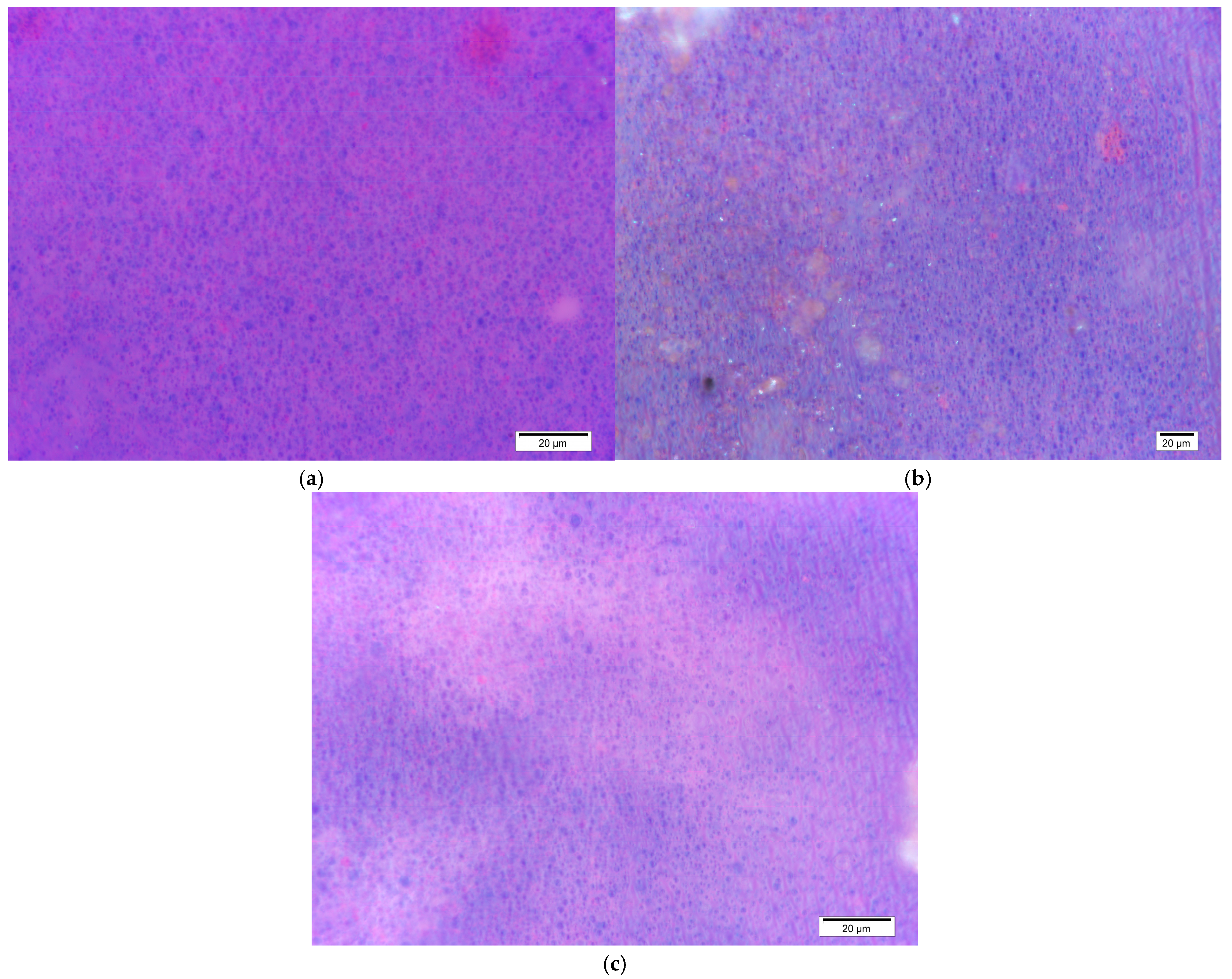 Macromol 05 00022 g004