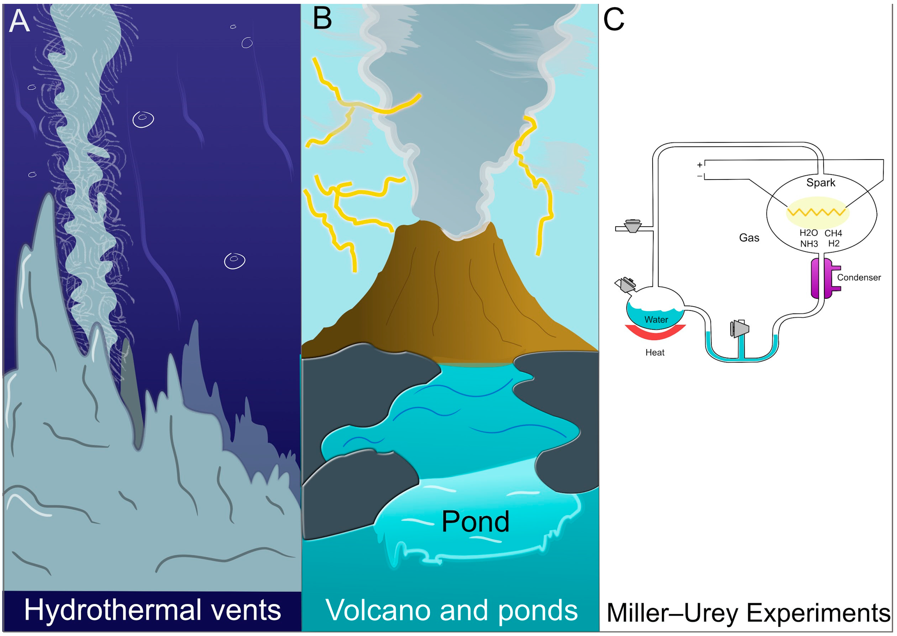 Macromol 05 00023 g001