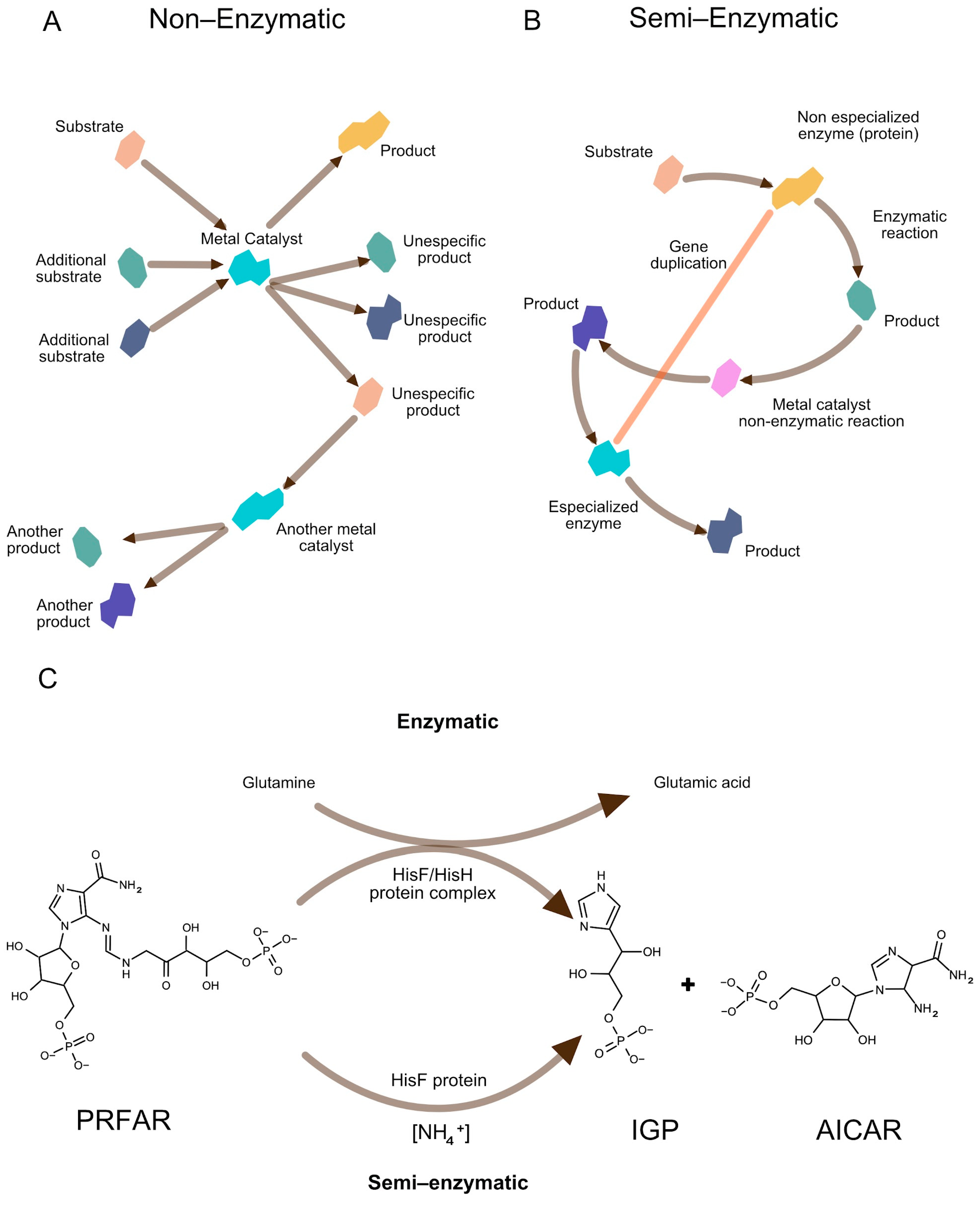 Macromol 05 00023 g003