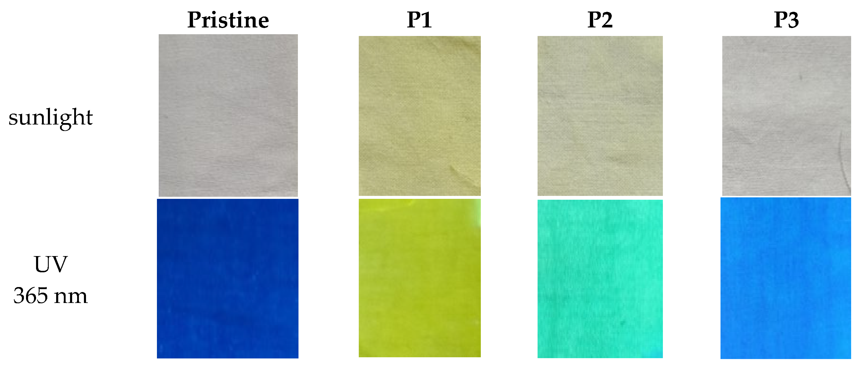 Macromol 05 00026 g001