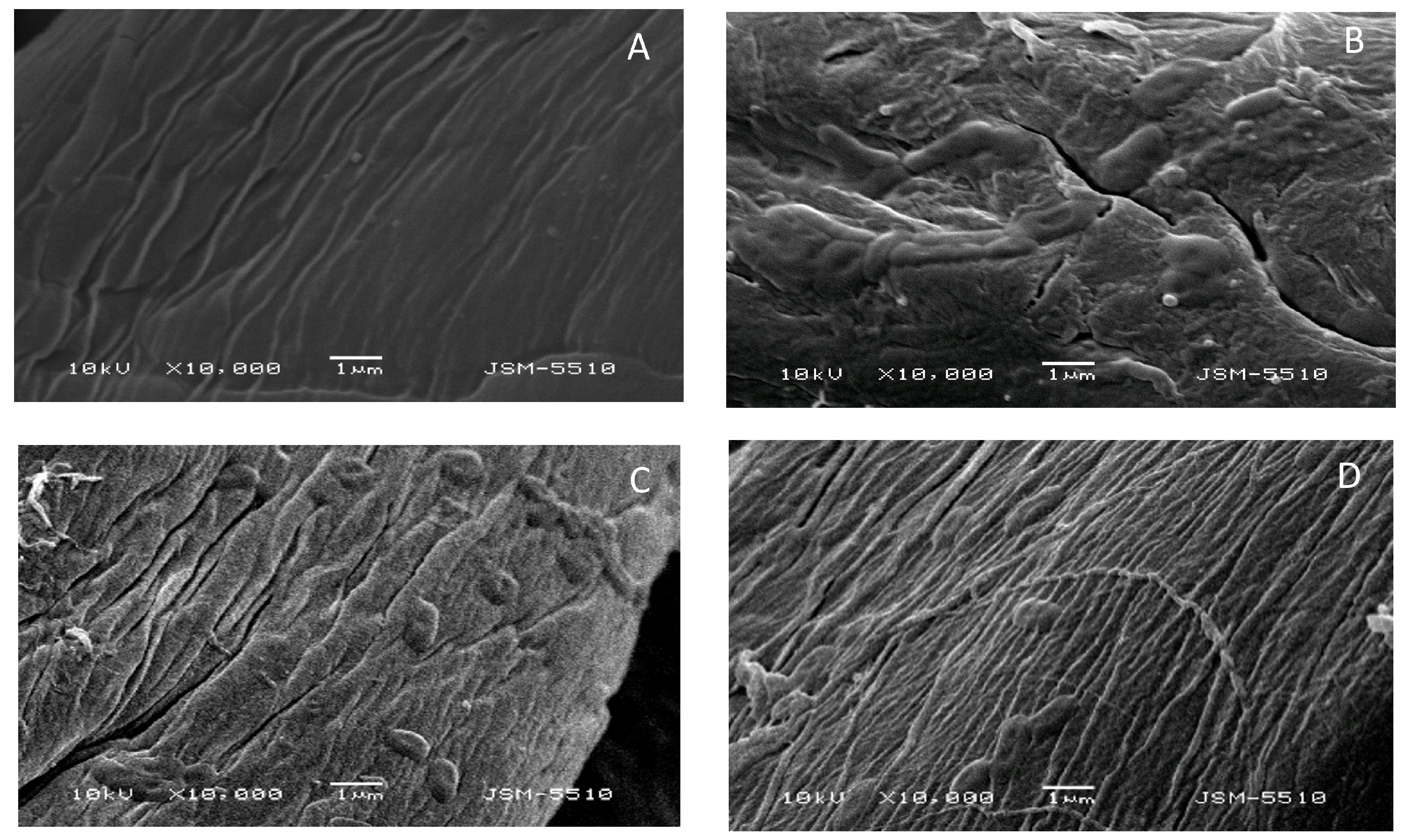 Macromol 05 00026 g009