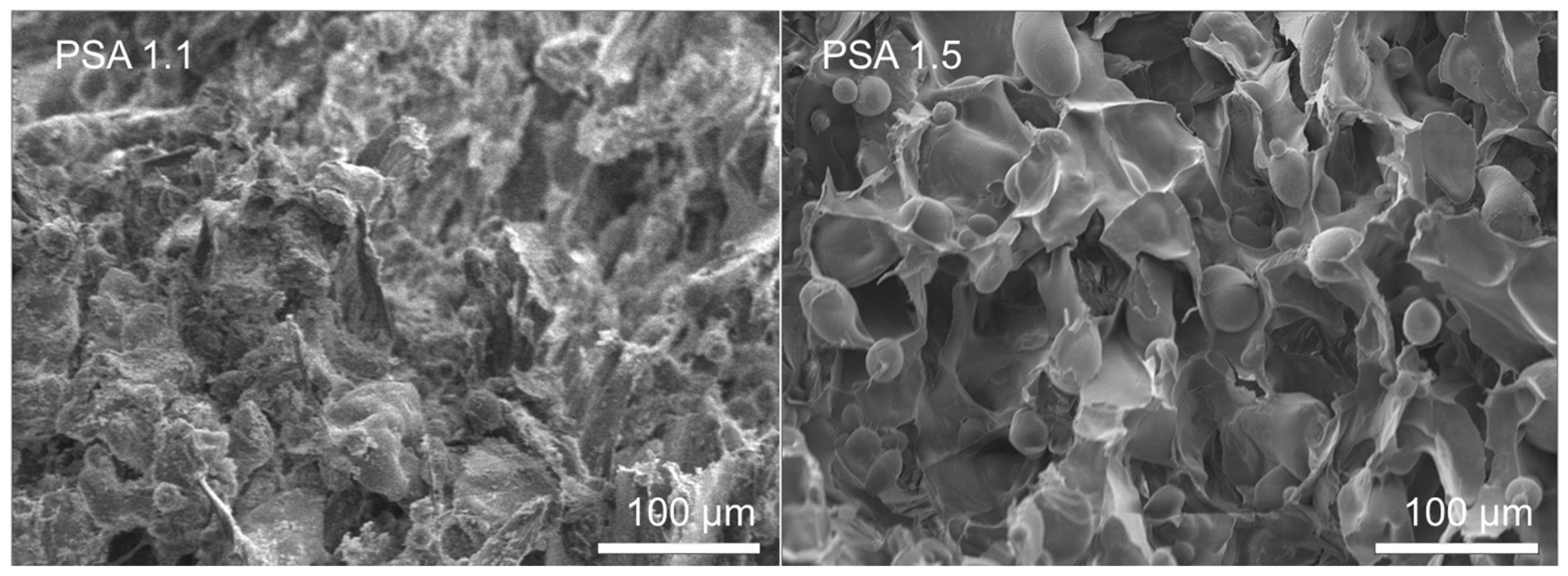 Macromol 05 00028 g008