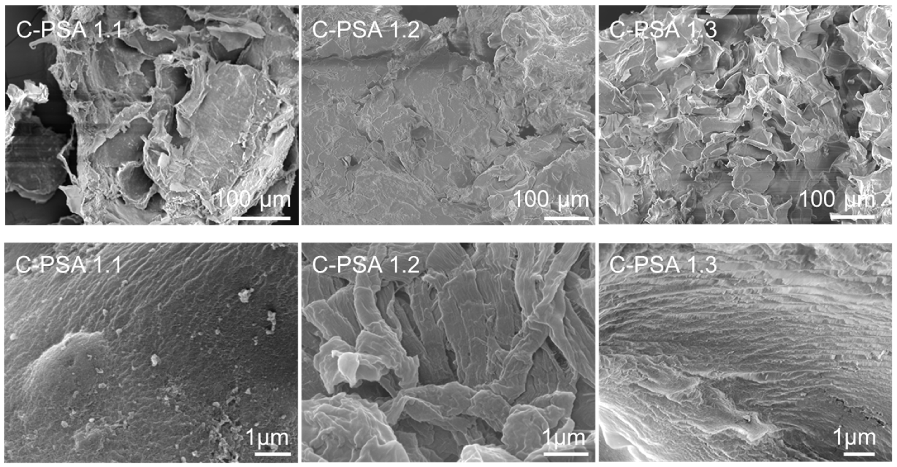 Macromol 05 00028 g009