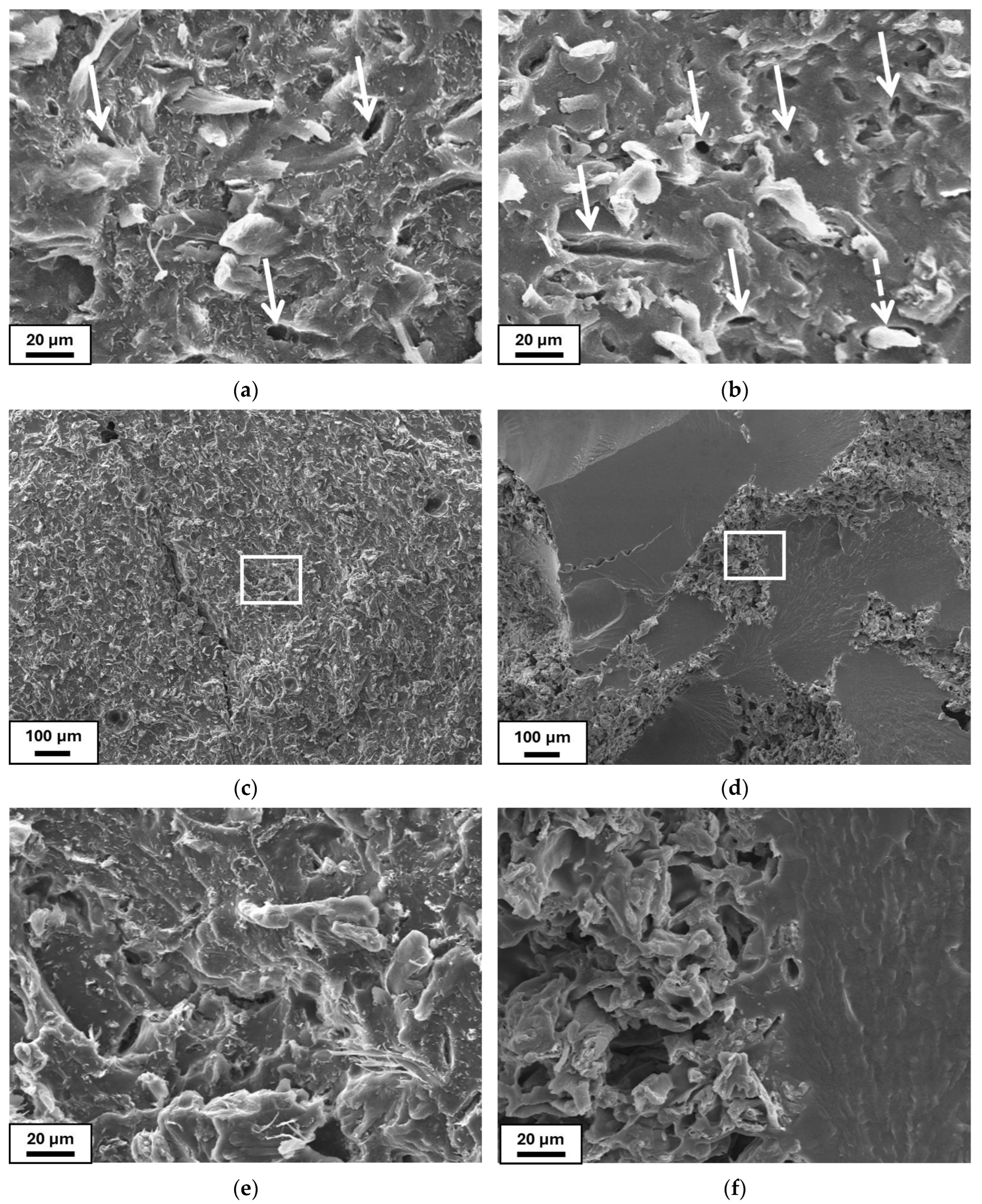 Macromol 05 00030 g002