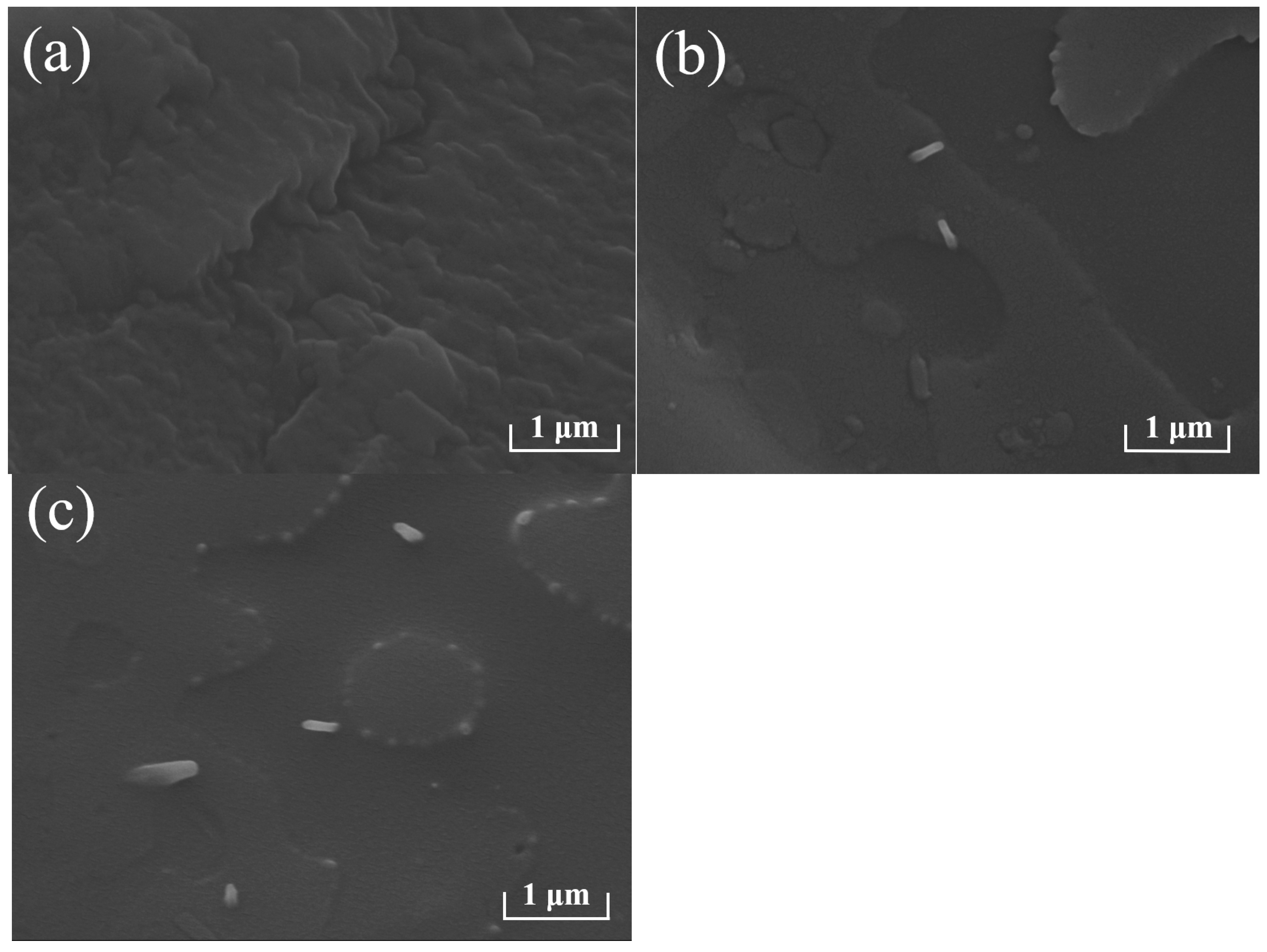 Macromol 05 00031 g002