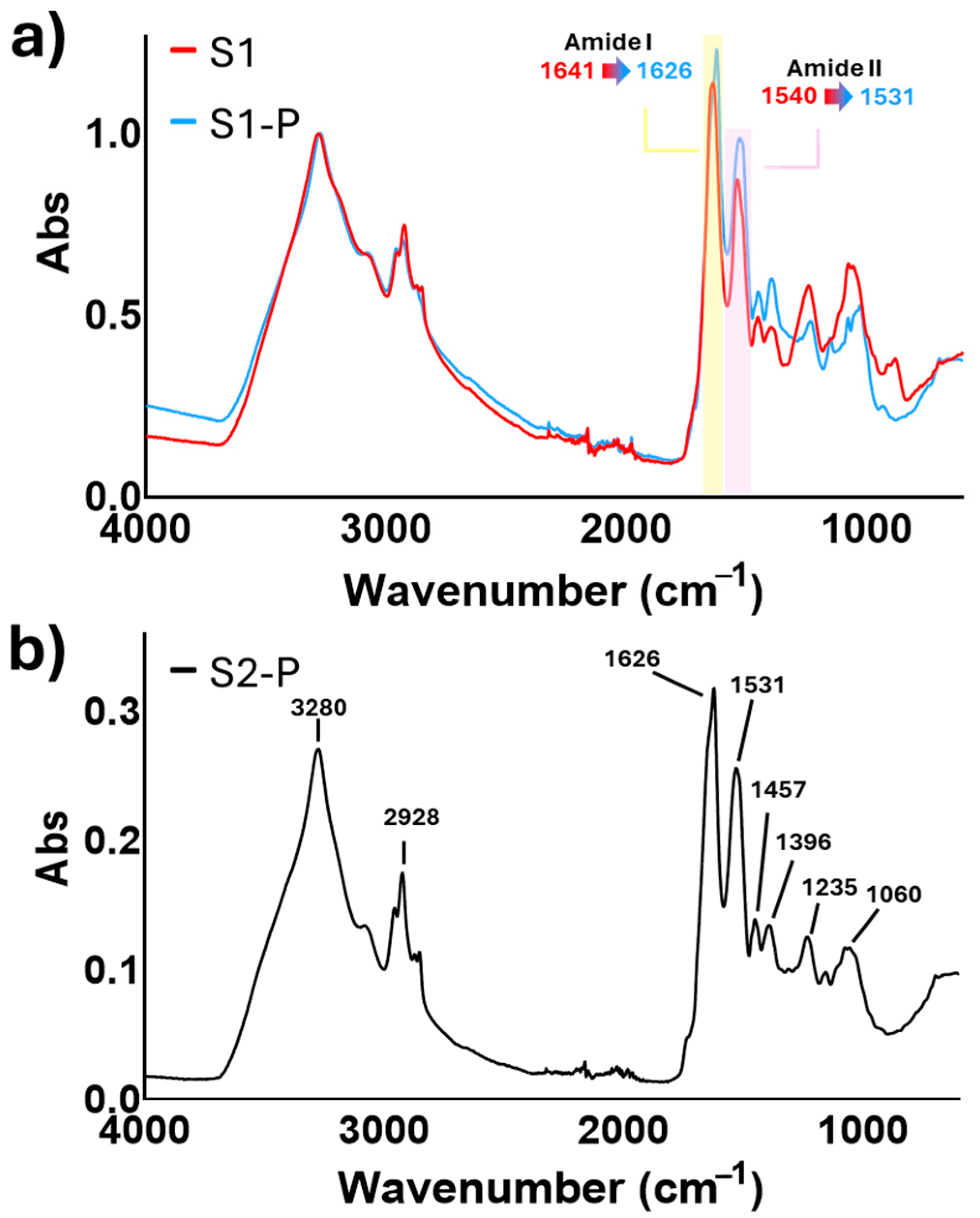 Macromol 05 00032 g002