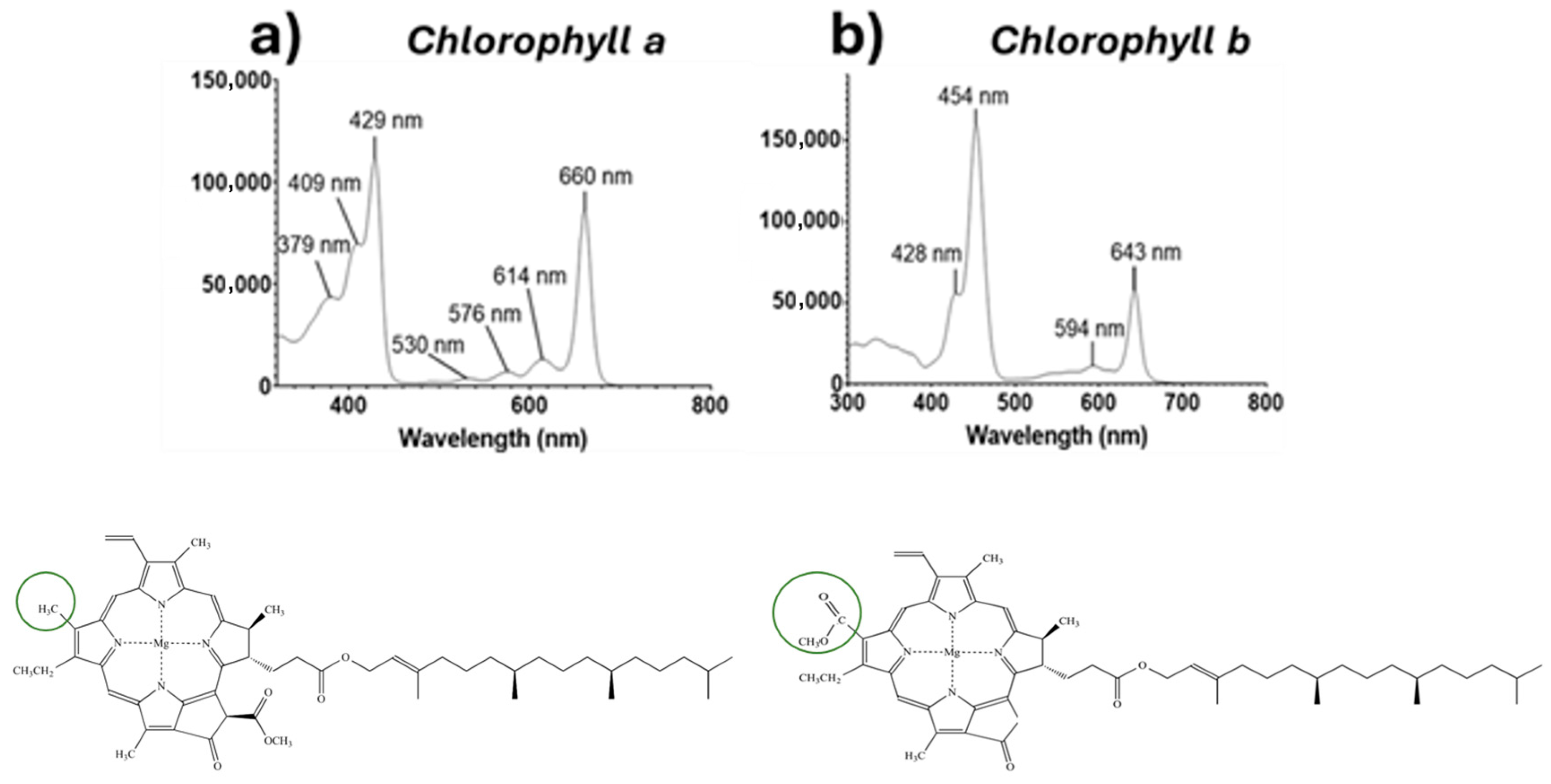 Macromol 05 00032 g004