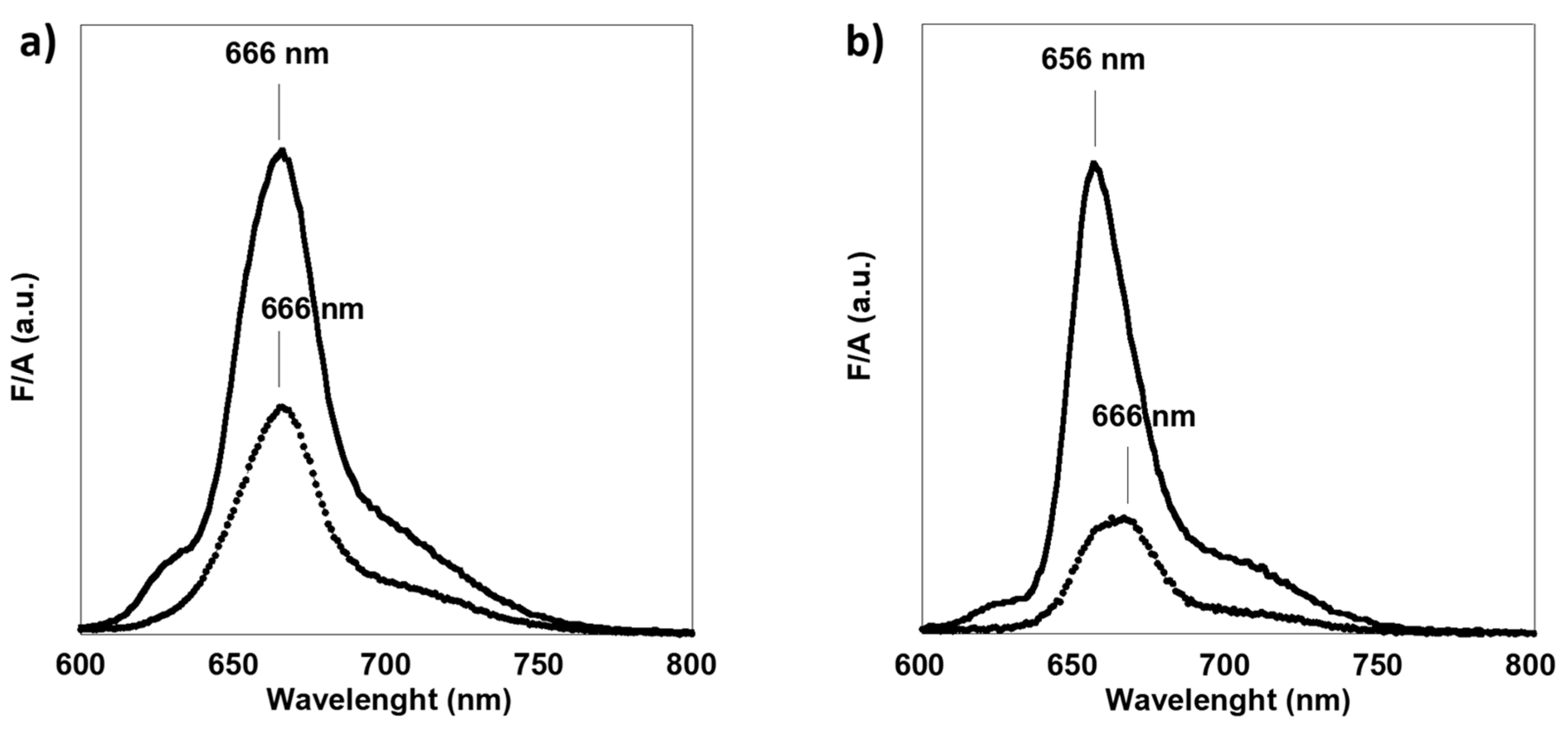 Macromol 05 00032 g005