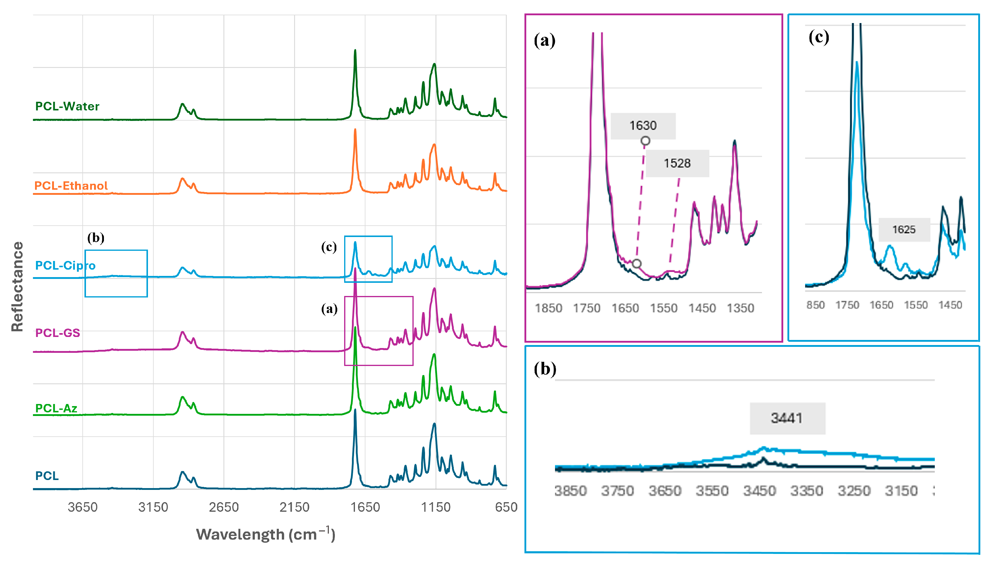Macromol 05 00033 g003