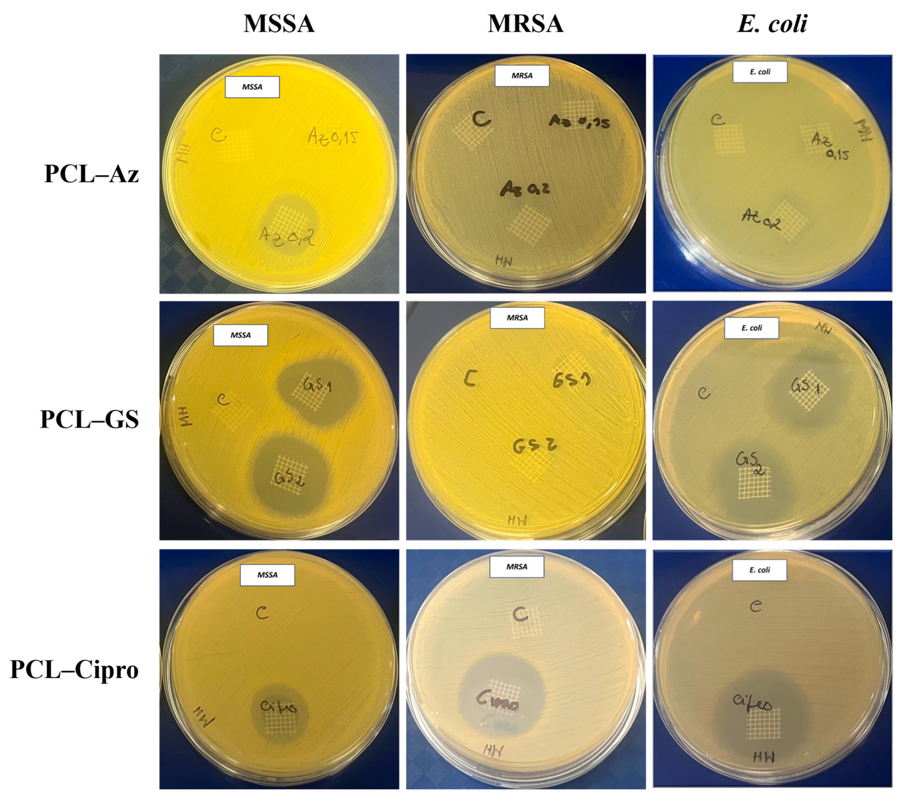 Macromol 05 00033 g004