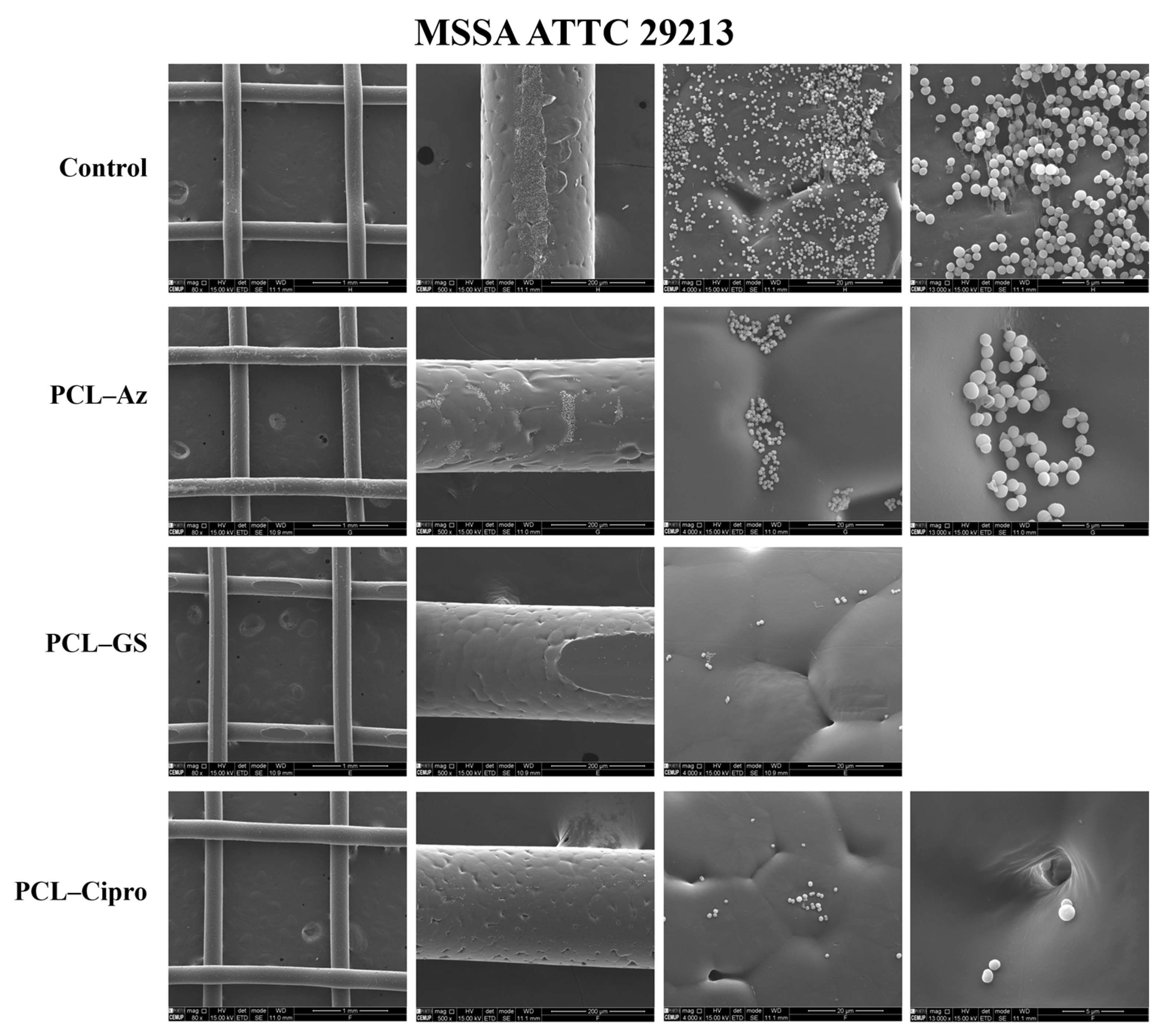 Macromol 05 00033 g006