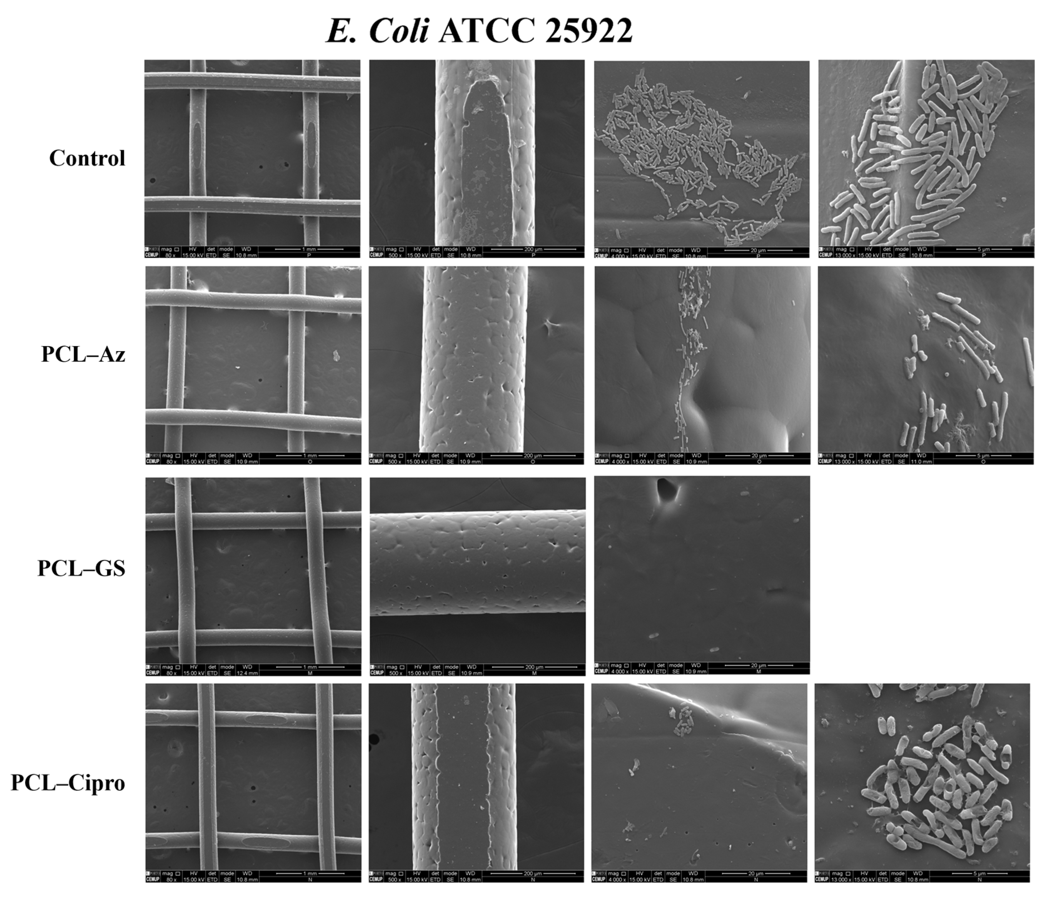Macromol 05 00033 g008