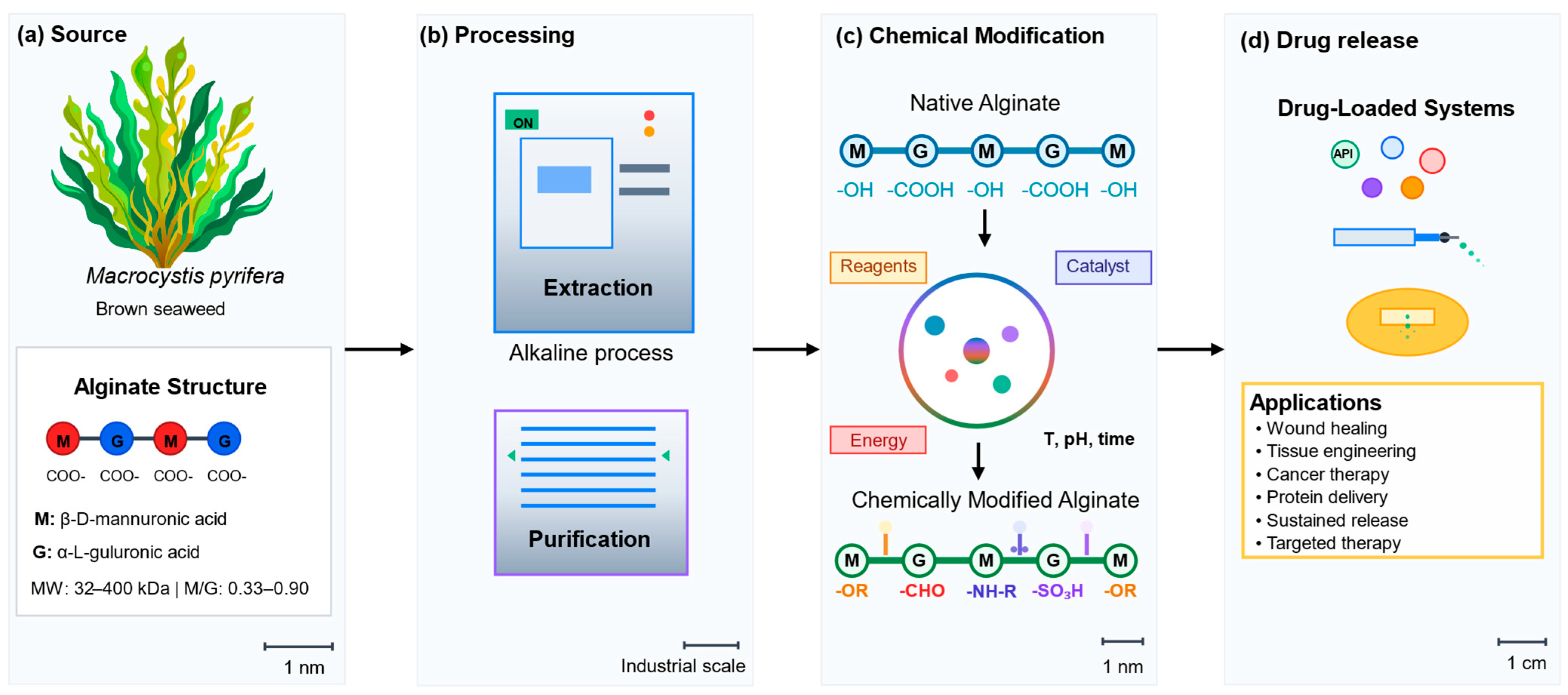 Macromol 05 00036 g001 Macromol 05 00036 g001