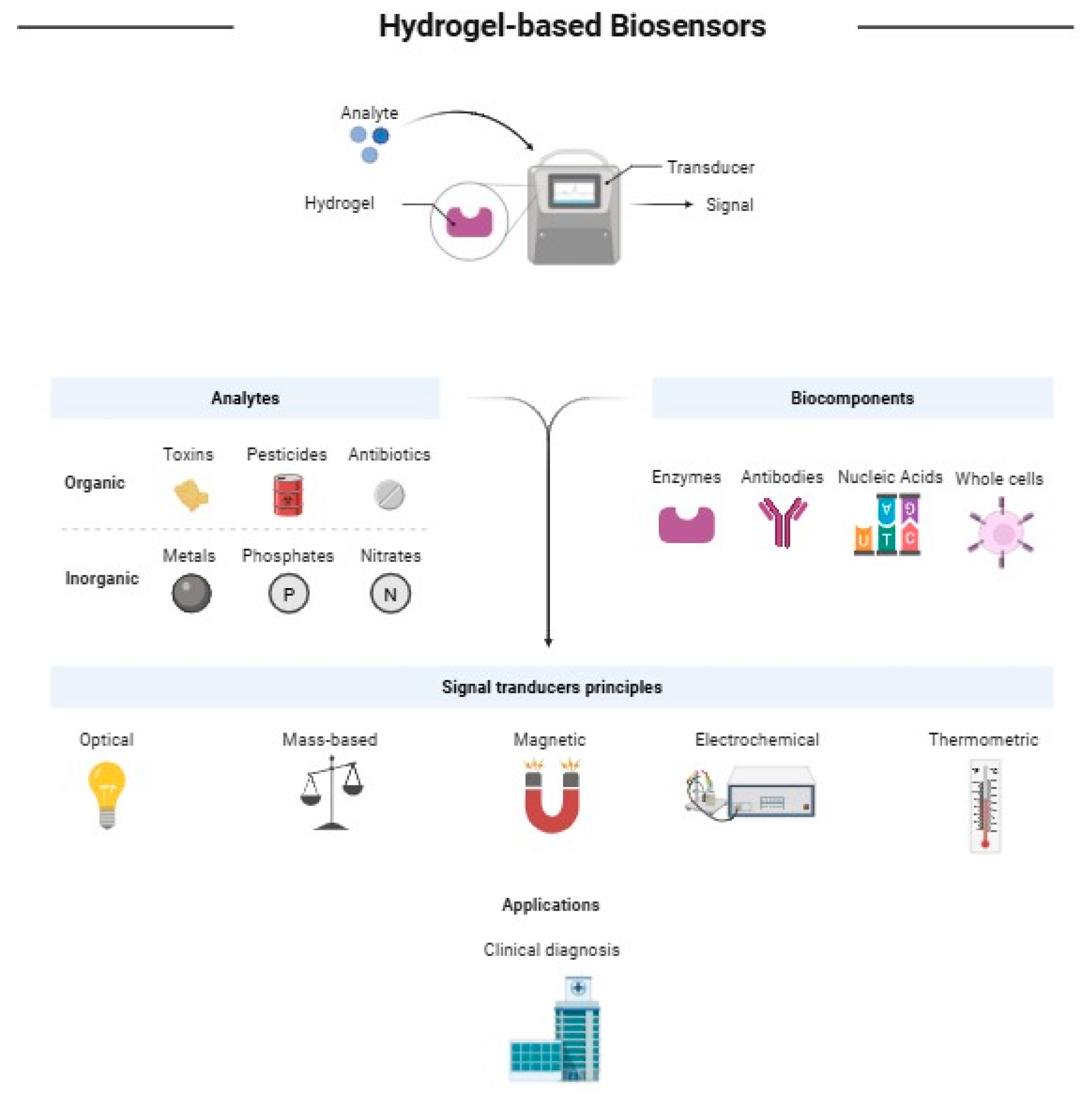 Macromol 05 00037 g001 Macromol 05 00037 g001