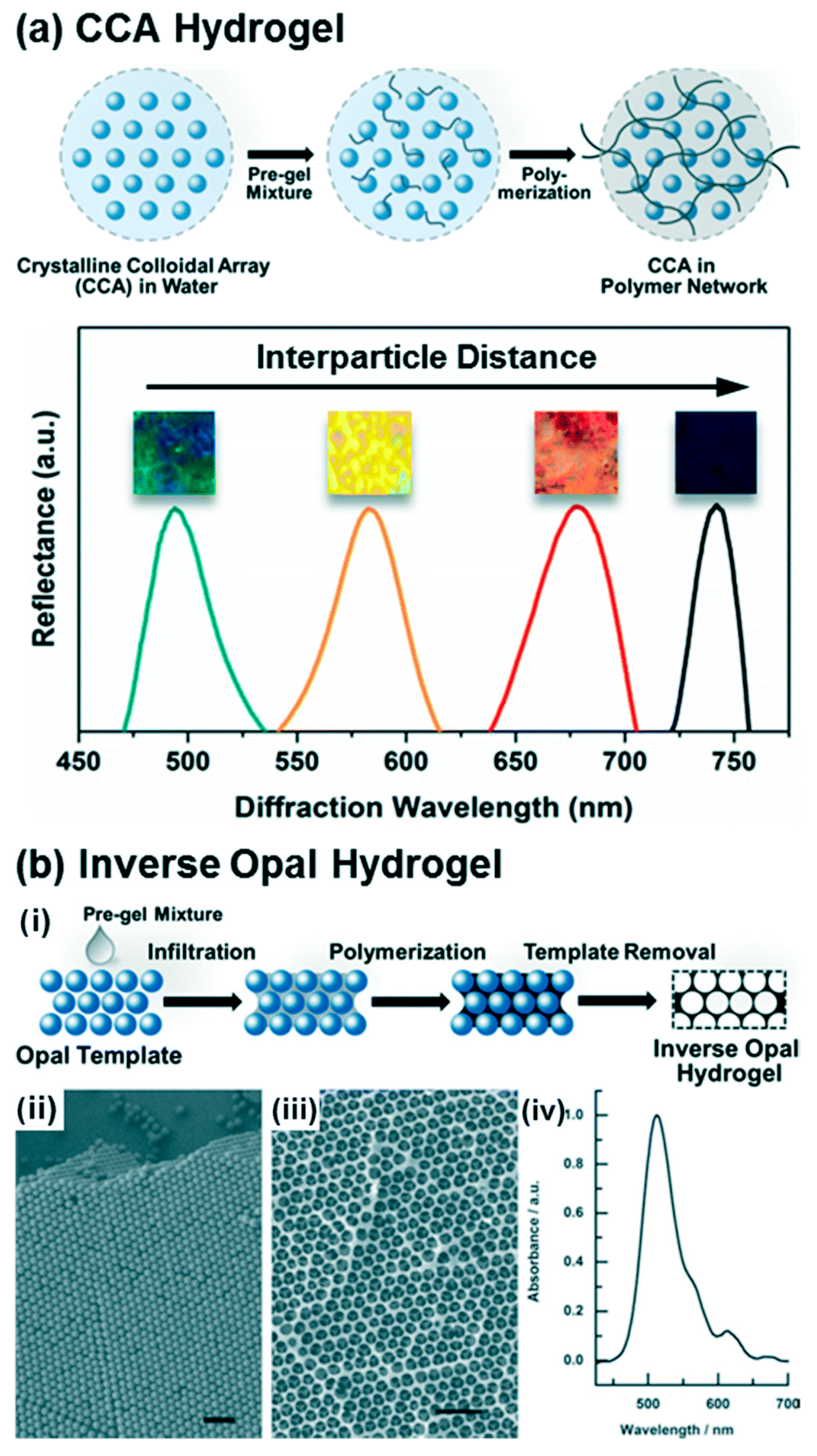 Macromol 05 00037 g003 Macromol 05 00037 g003