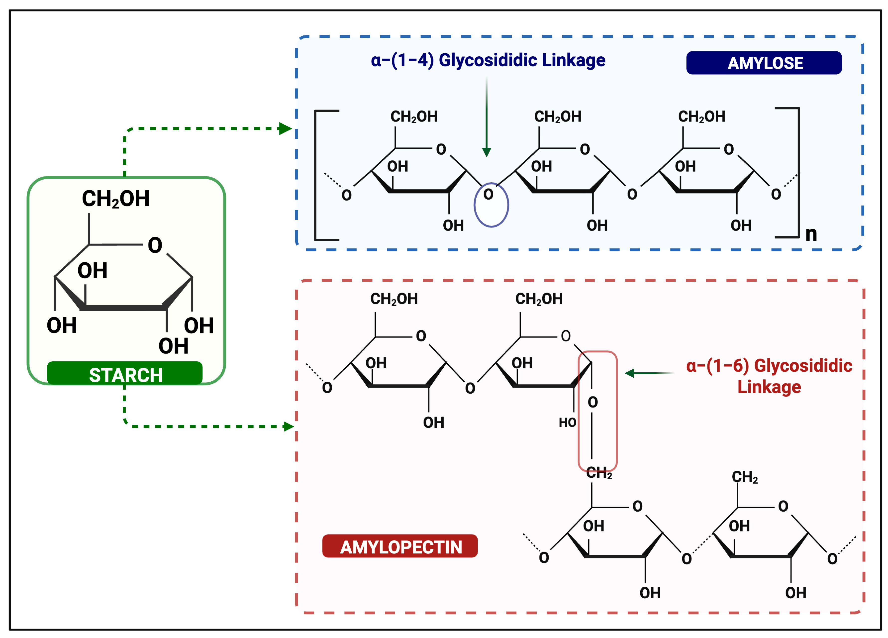 Macromol 05 00040 g001 Macromol 05 00040 g001
