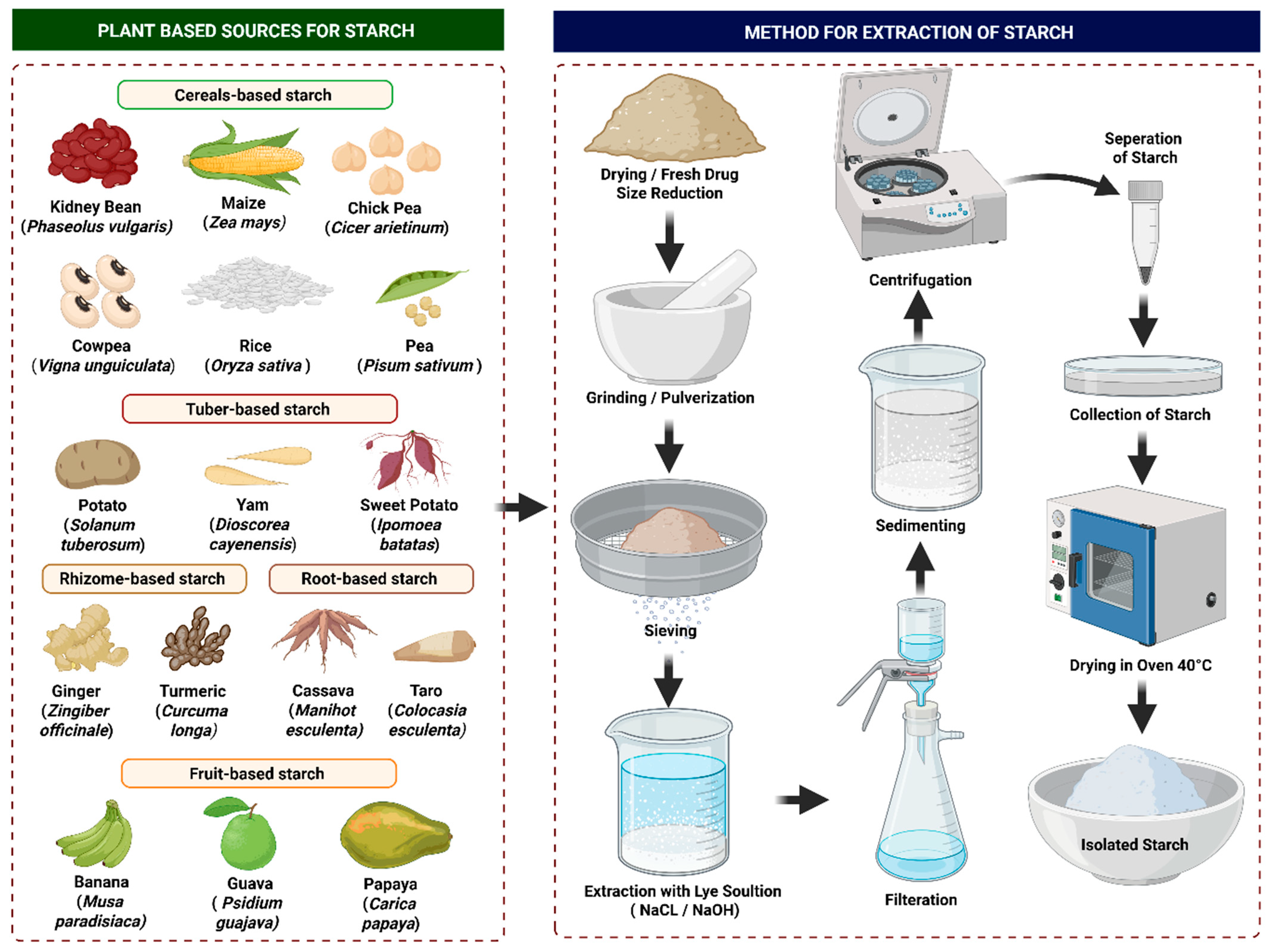 Macromol 05 00040 g004 Macromol 05 00040 g004