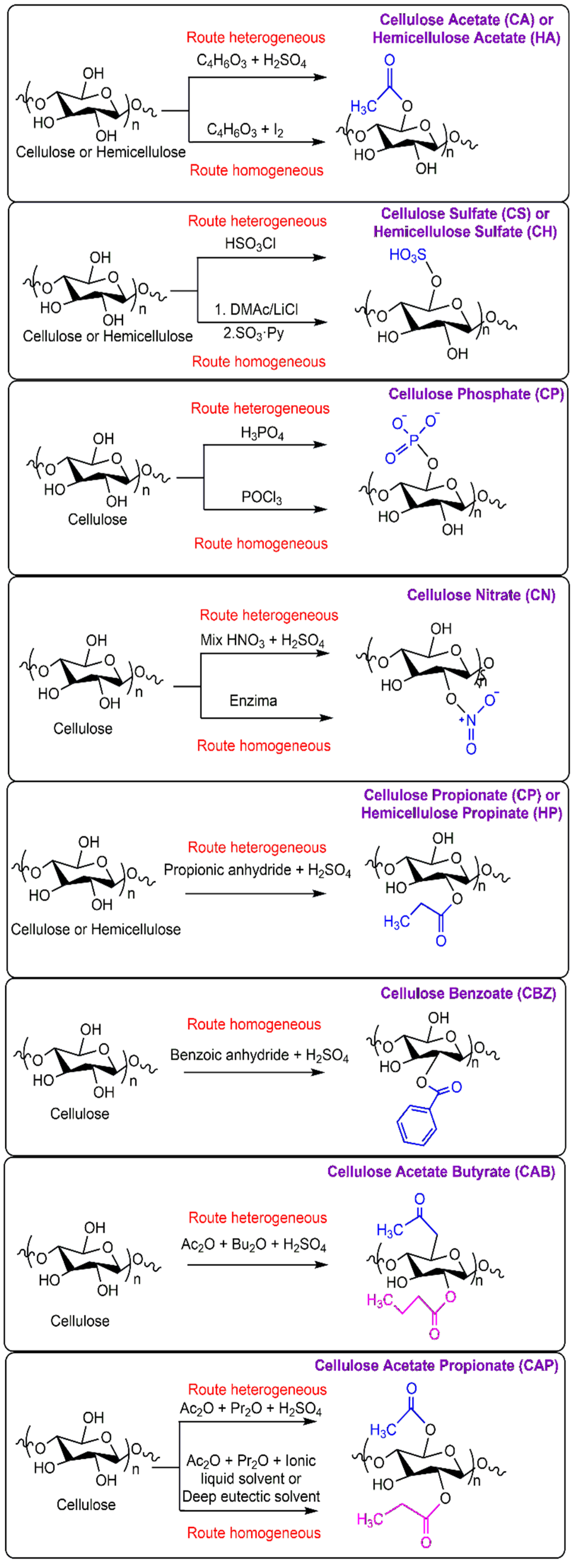 Macromol 05 00047 g004