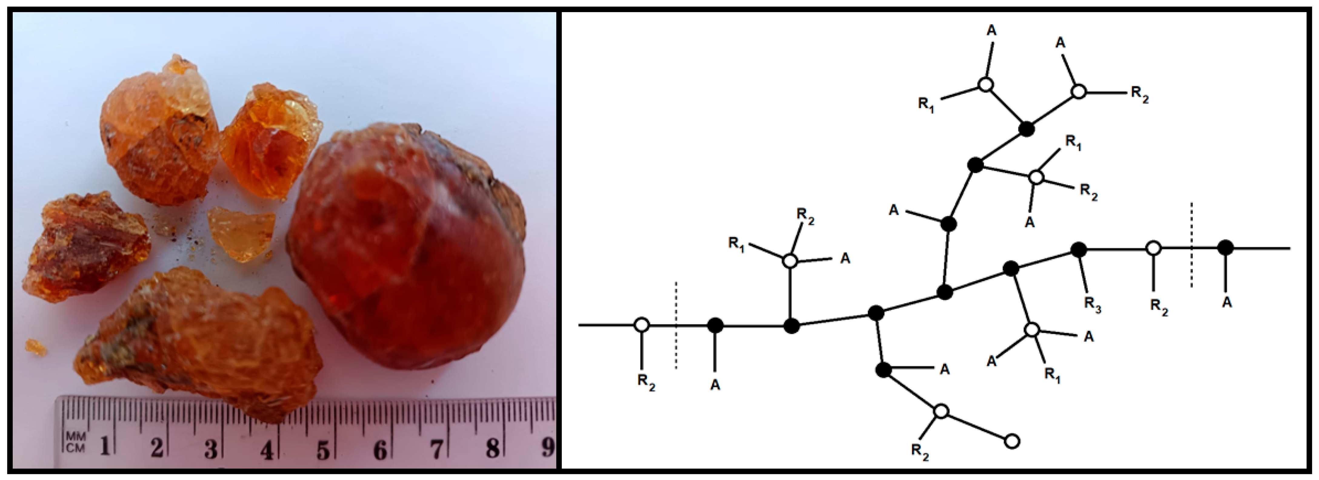 Macromol 05 00049 g001
