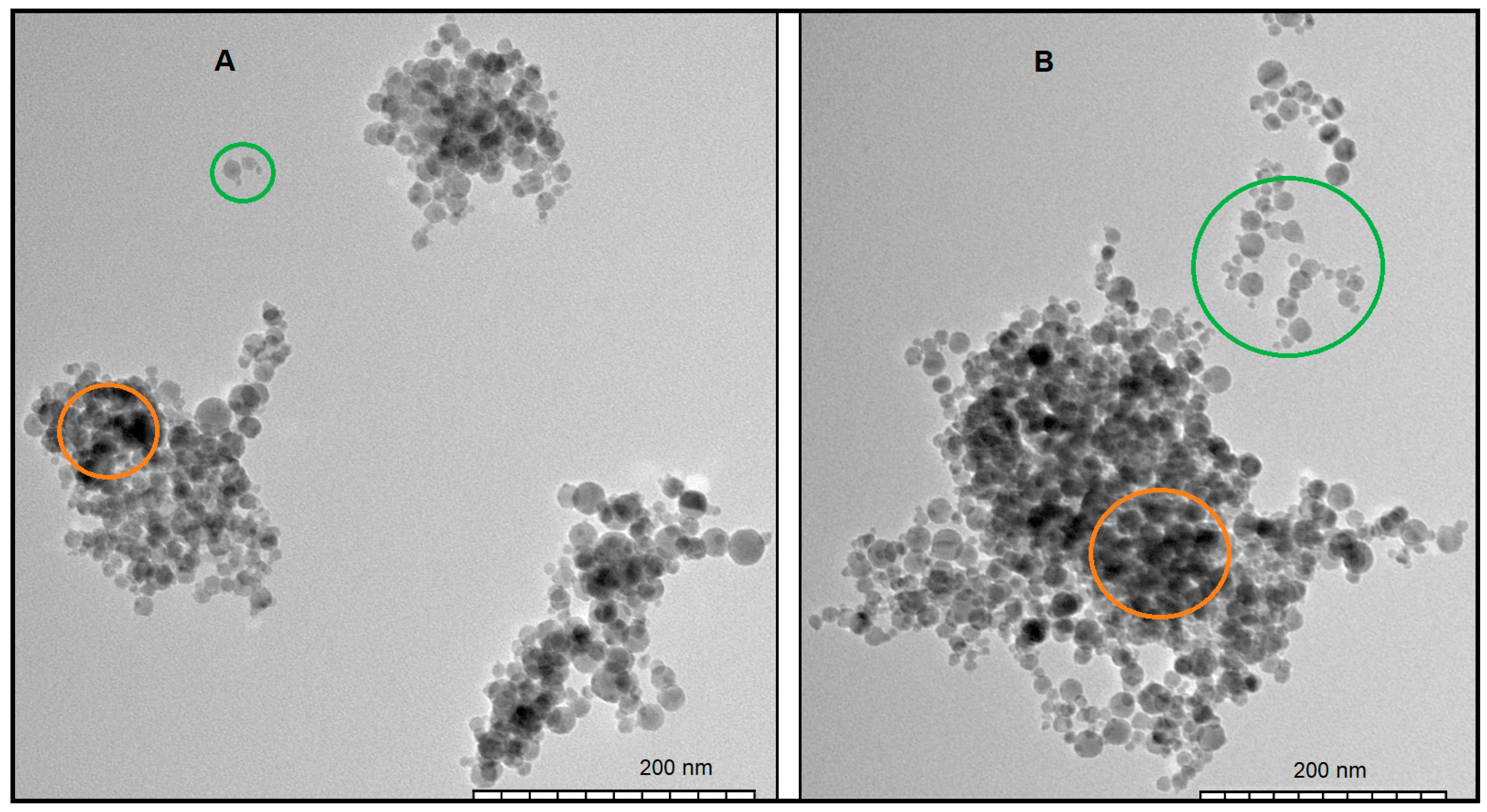 Macromol 05 00049 g003