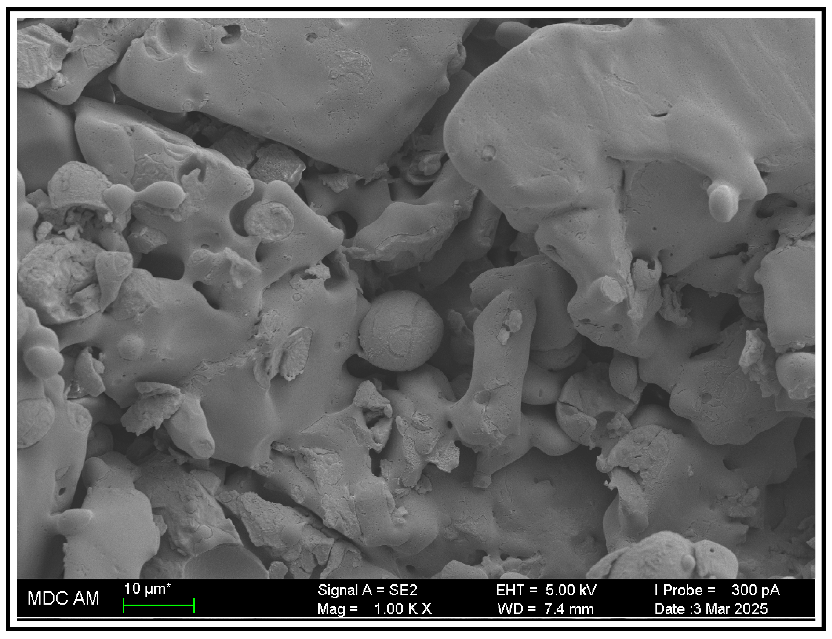 Macromol 05 00049 g008