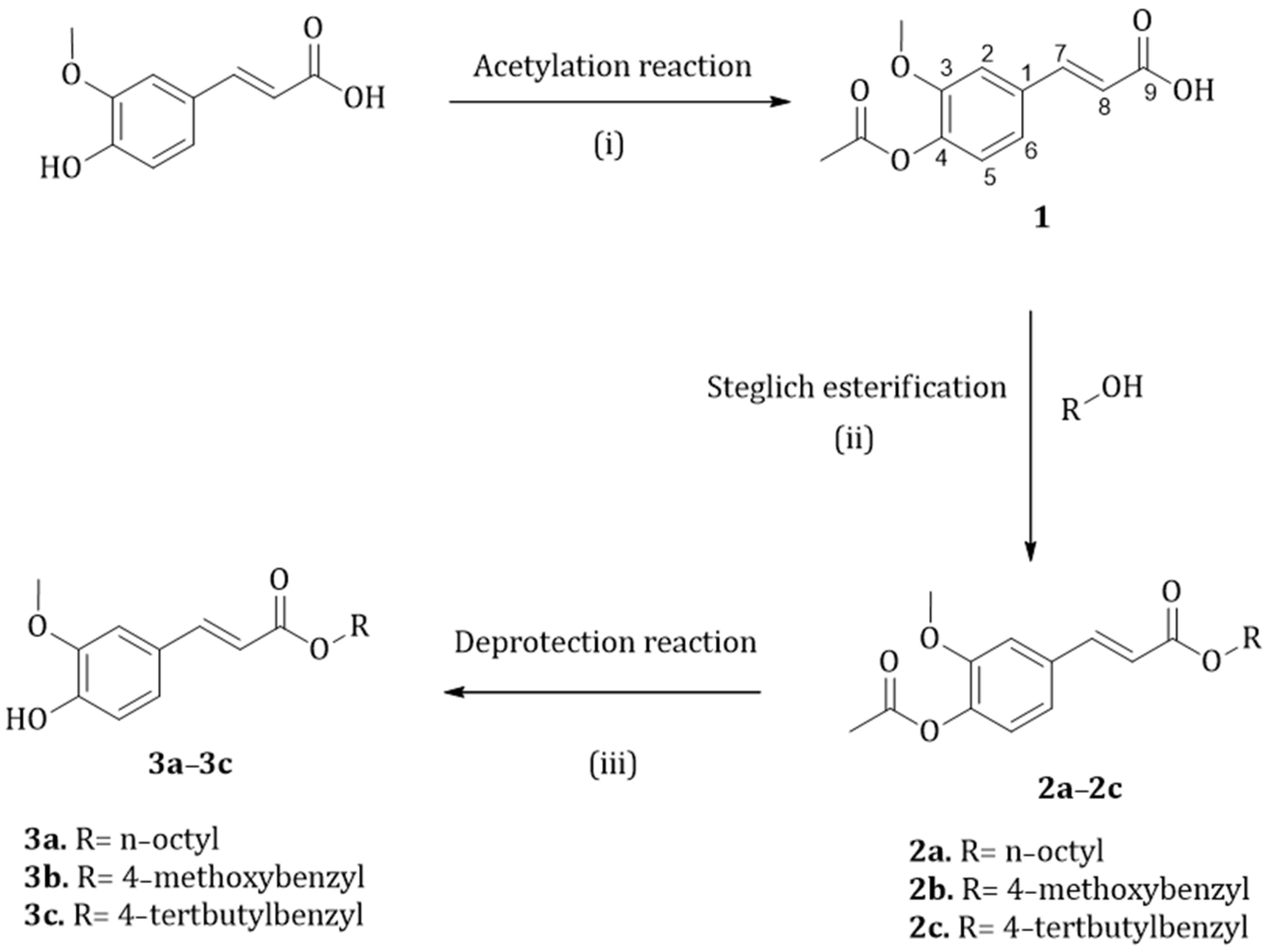 Macromol 05 00050 g003 Macromol 05 00050 g003