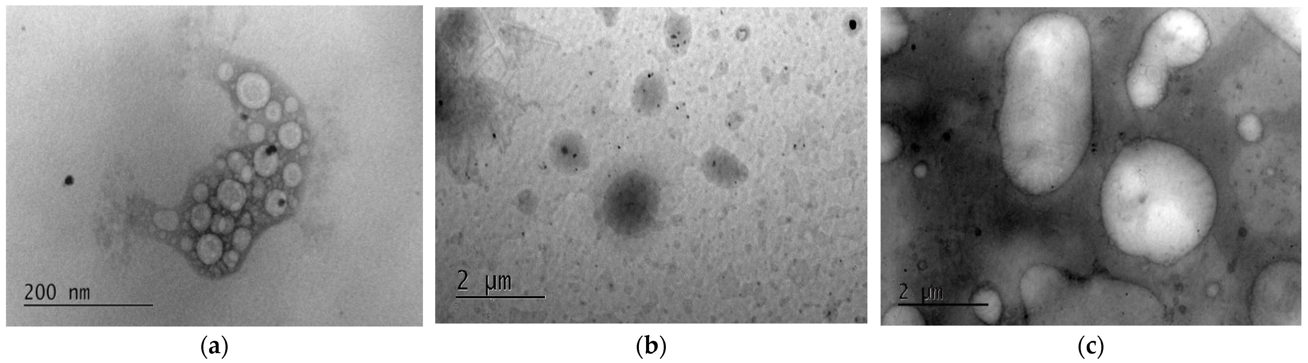 Macromol 05 00050 g010 Macromol 05 00050 g010