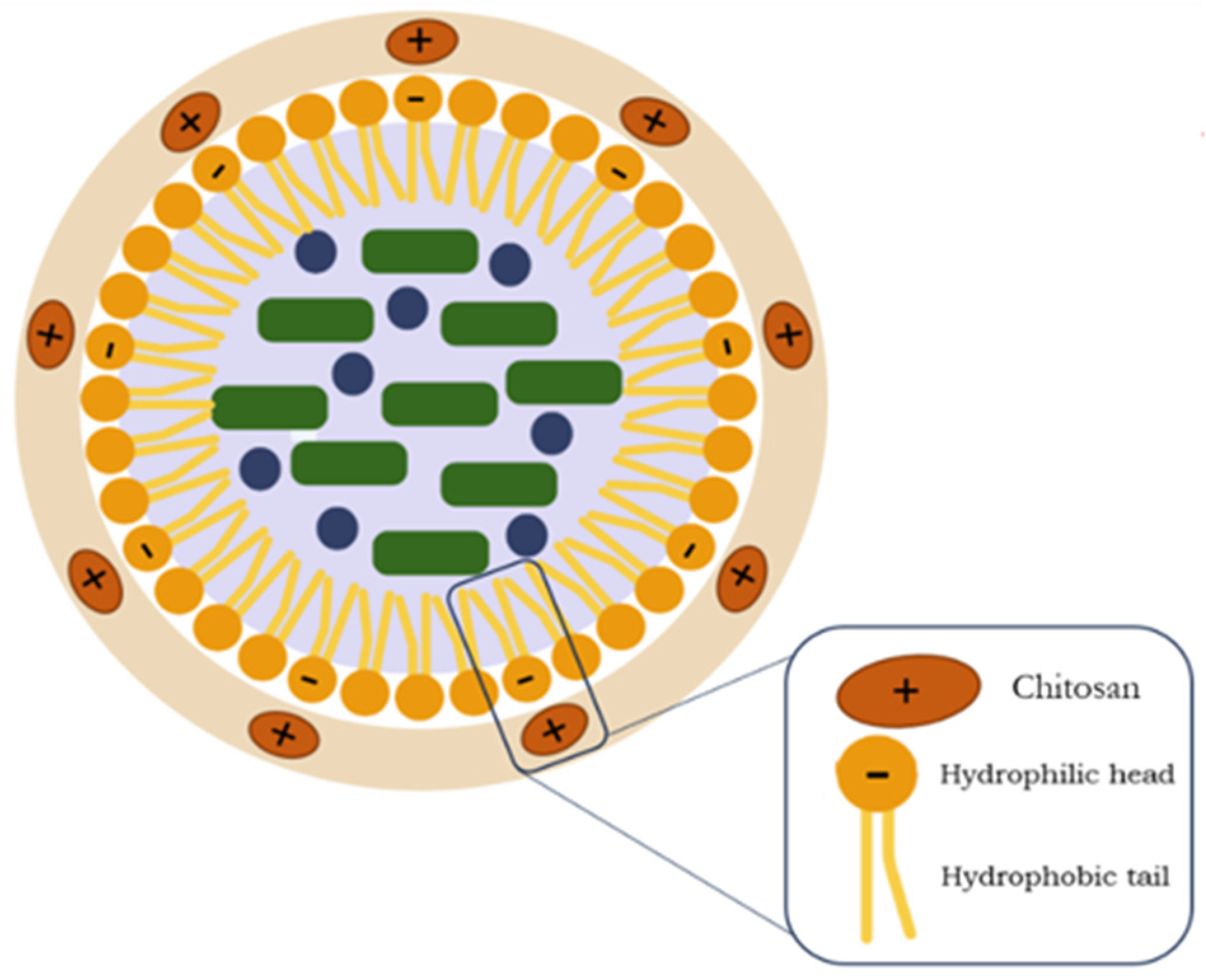 Macromol 05 00050 g011 Macromol 05 00050 g011