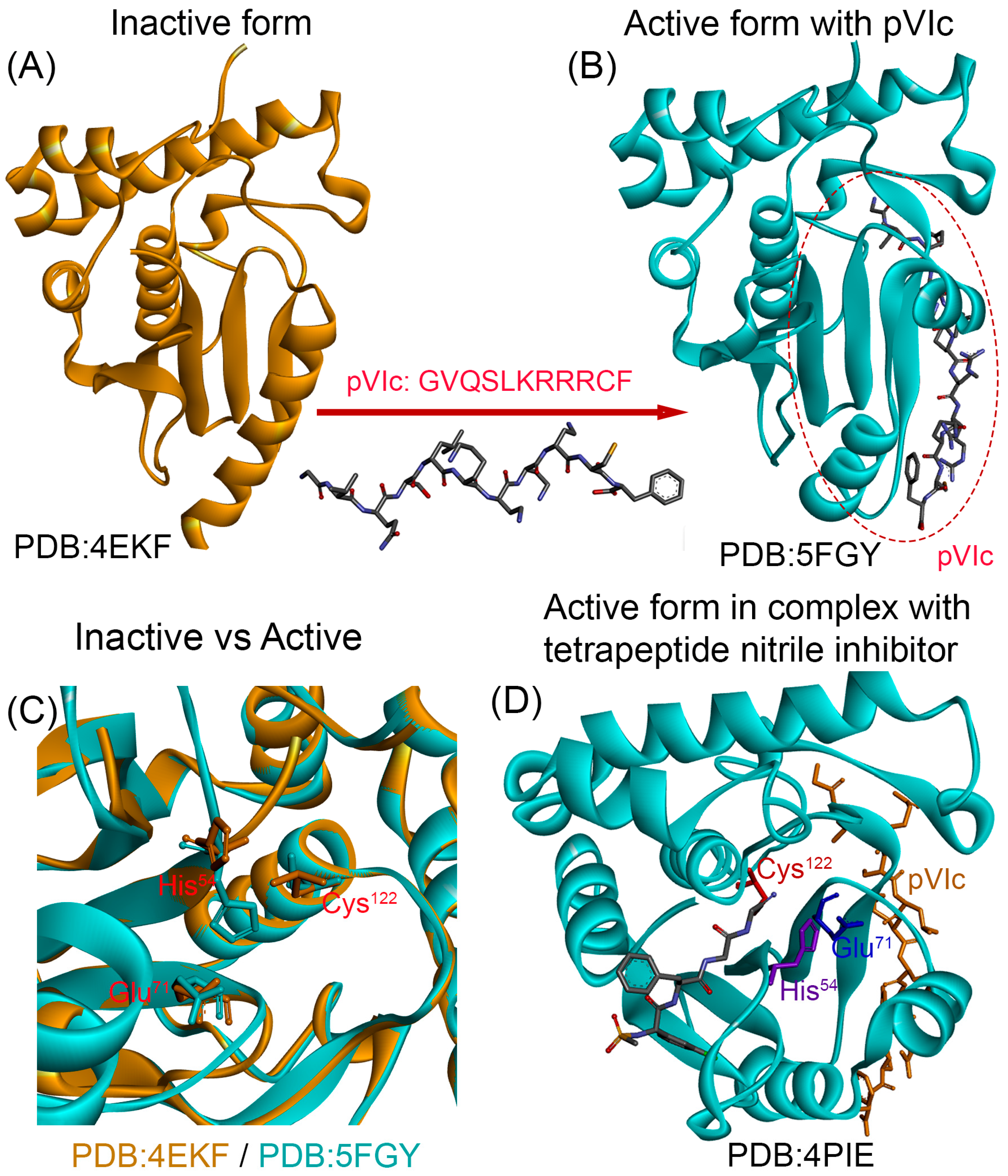 Macromol 05 00052 g003 Macromol 05 00052 g003