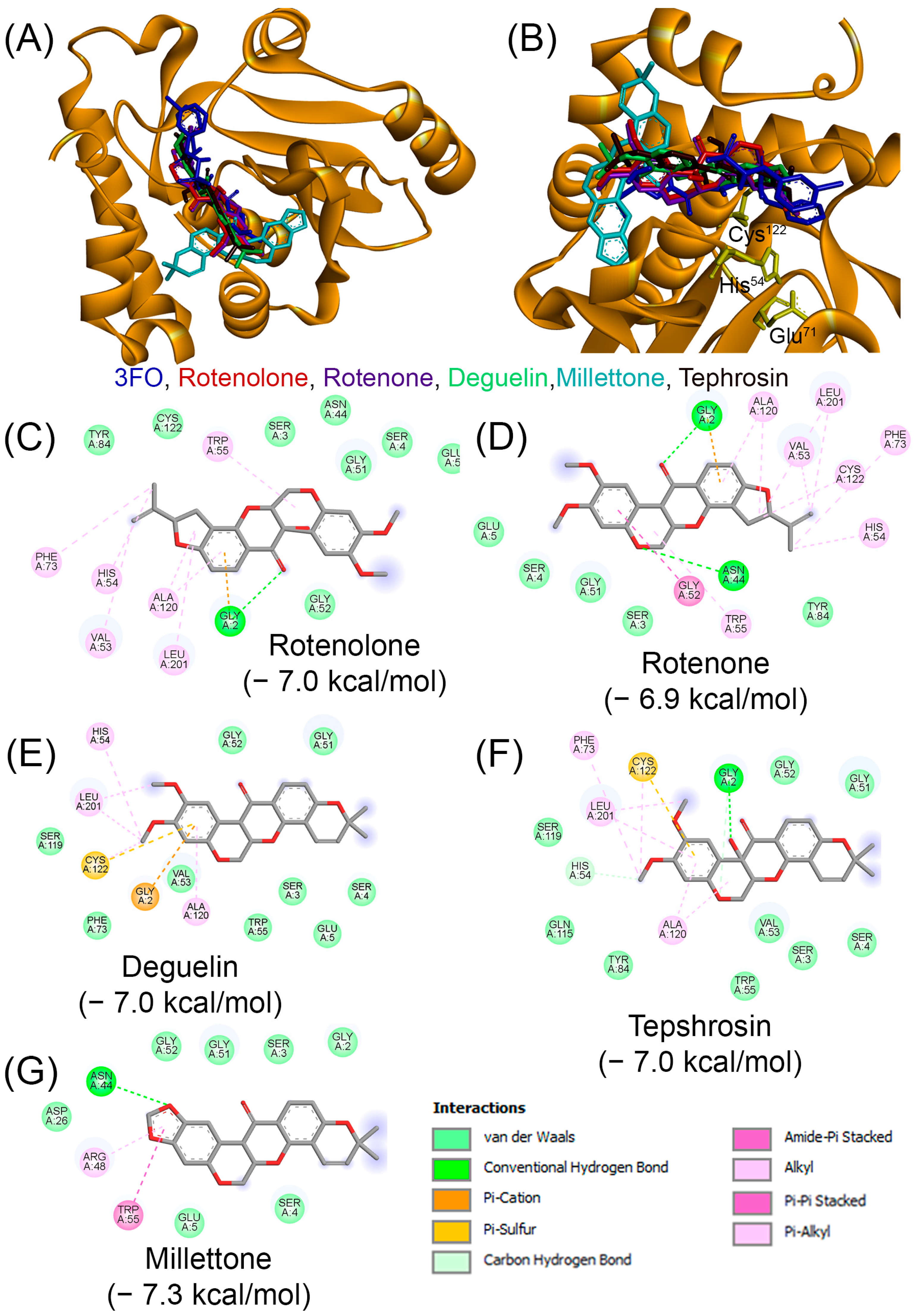 Macromol 05 00052 g008 Macromol 05 00052 g008