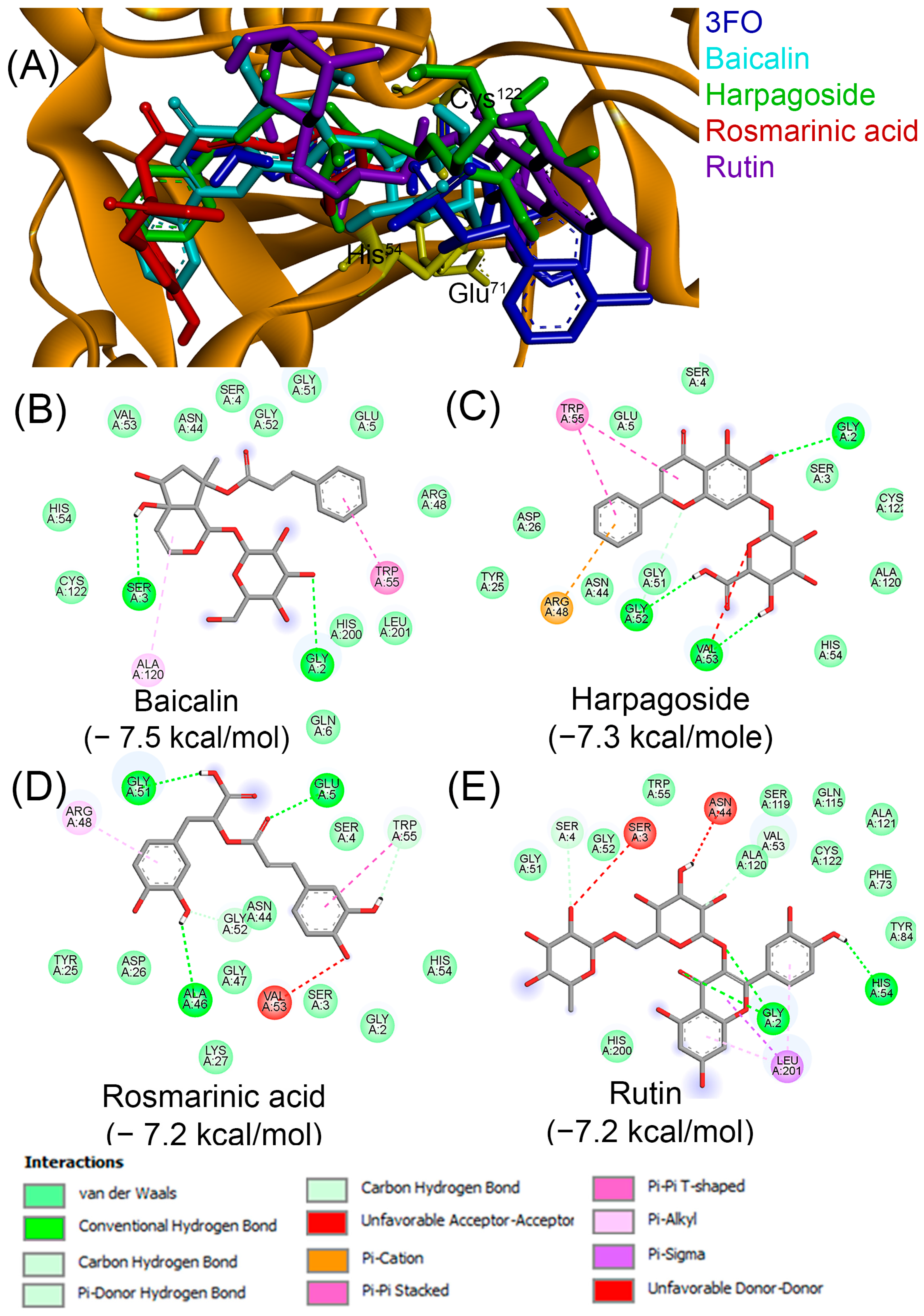 Macromol 05 00052 g010 Macromol 05 00052 g010