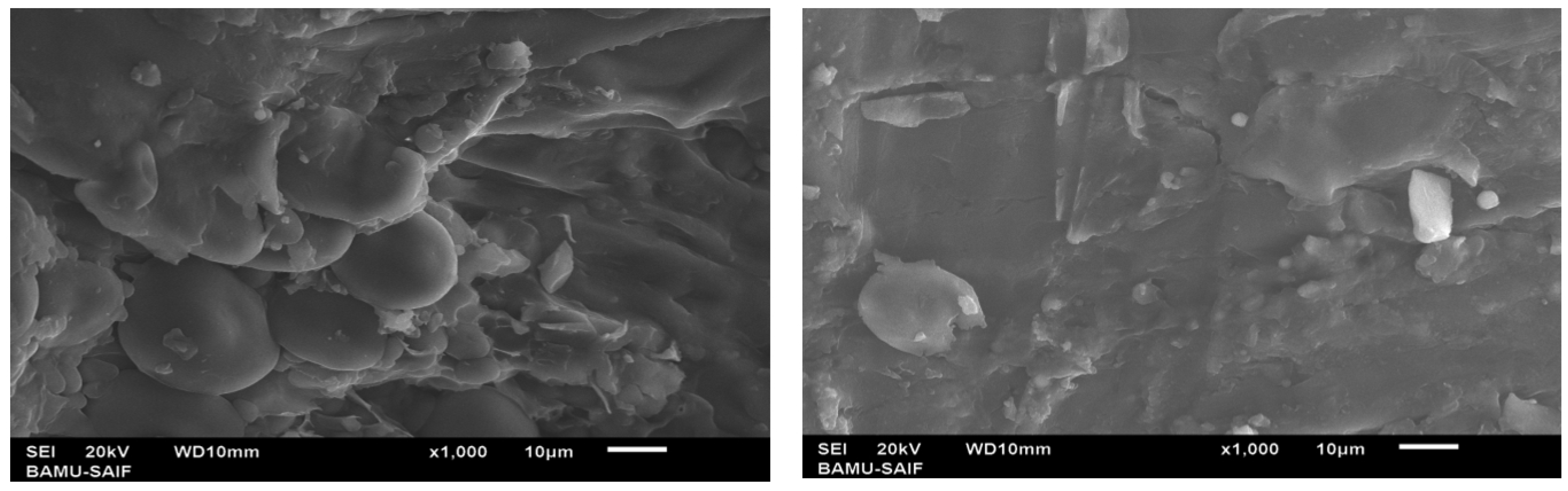 Macromol 05 00053 g006 Macromol 05 00053 g006