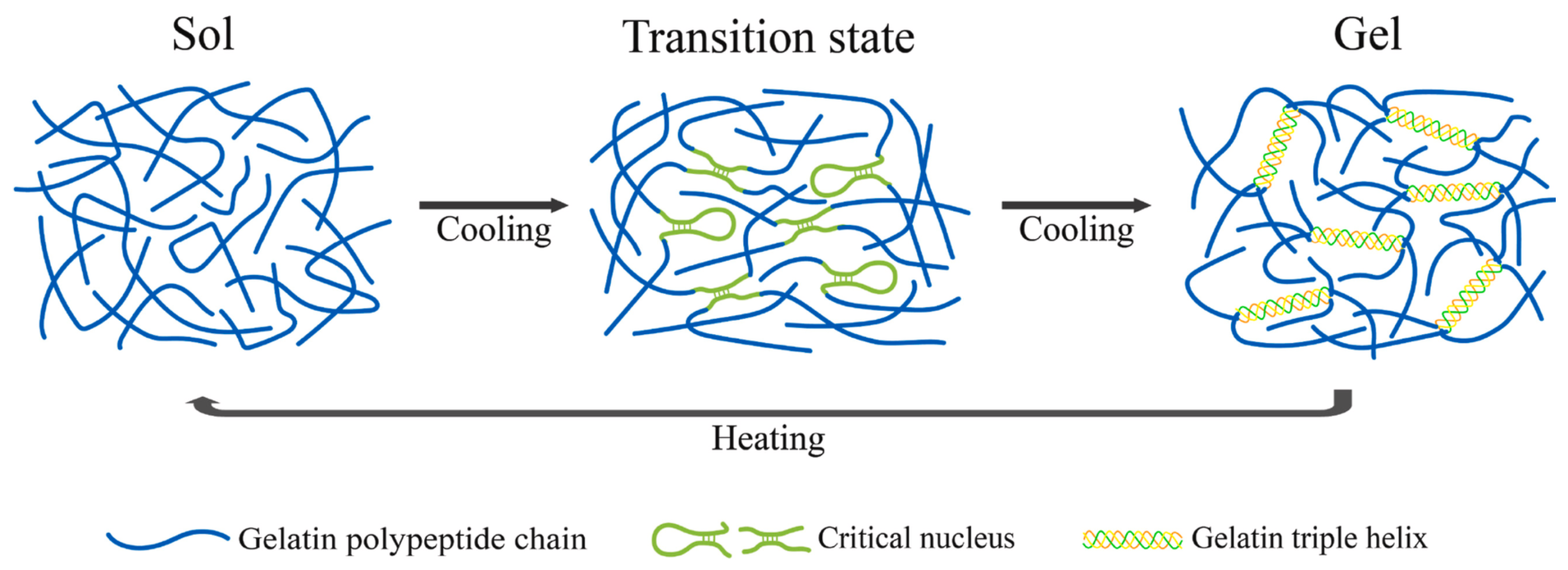 Macromol 05 00055 g002
