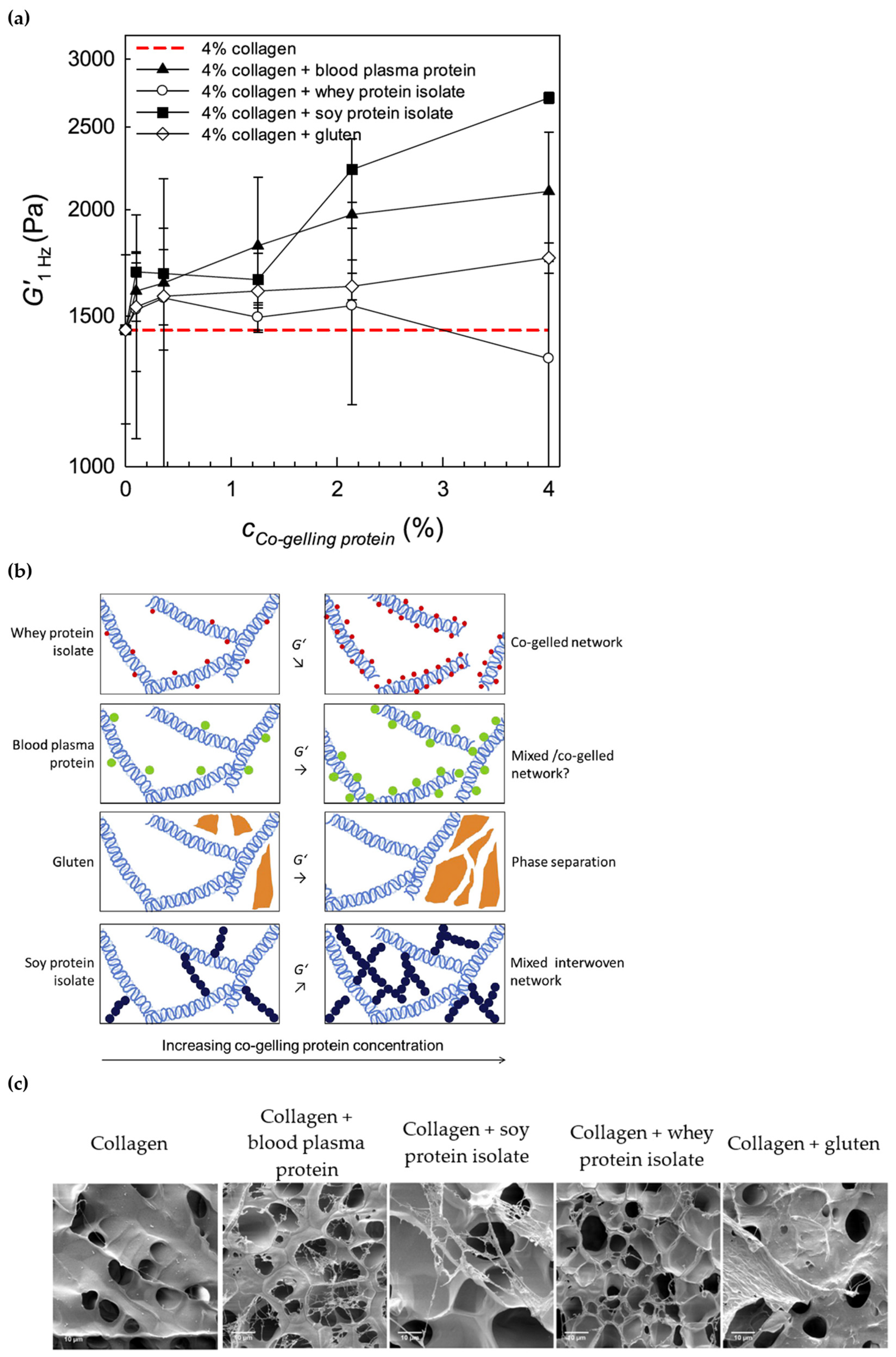 Macromol 05 00055 g003