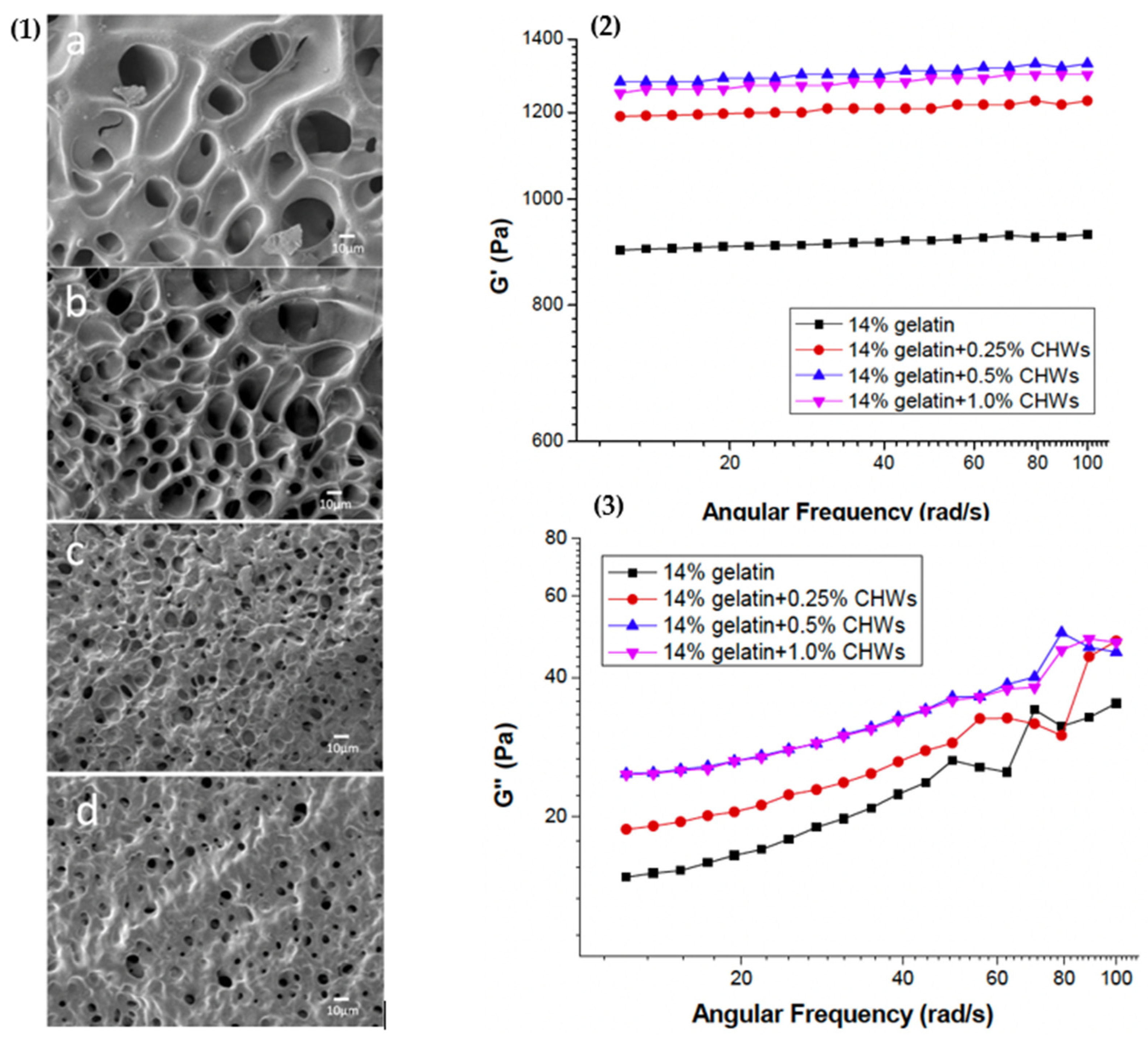 Macromol 05 00055 g005