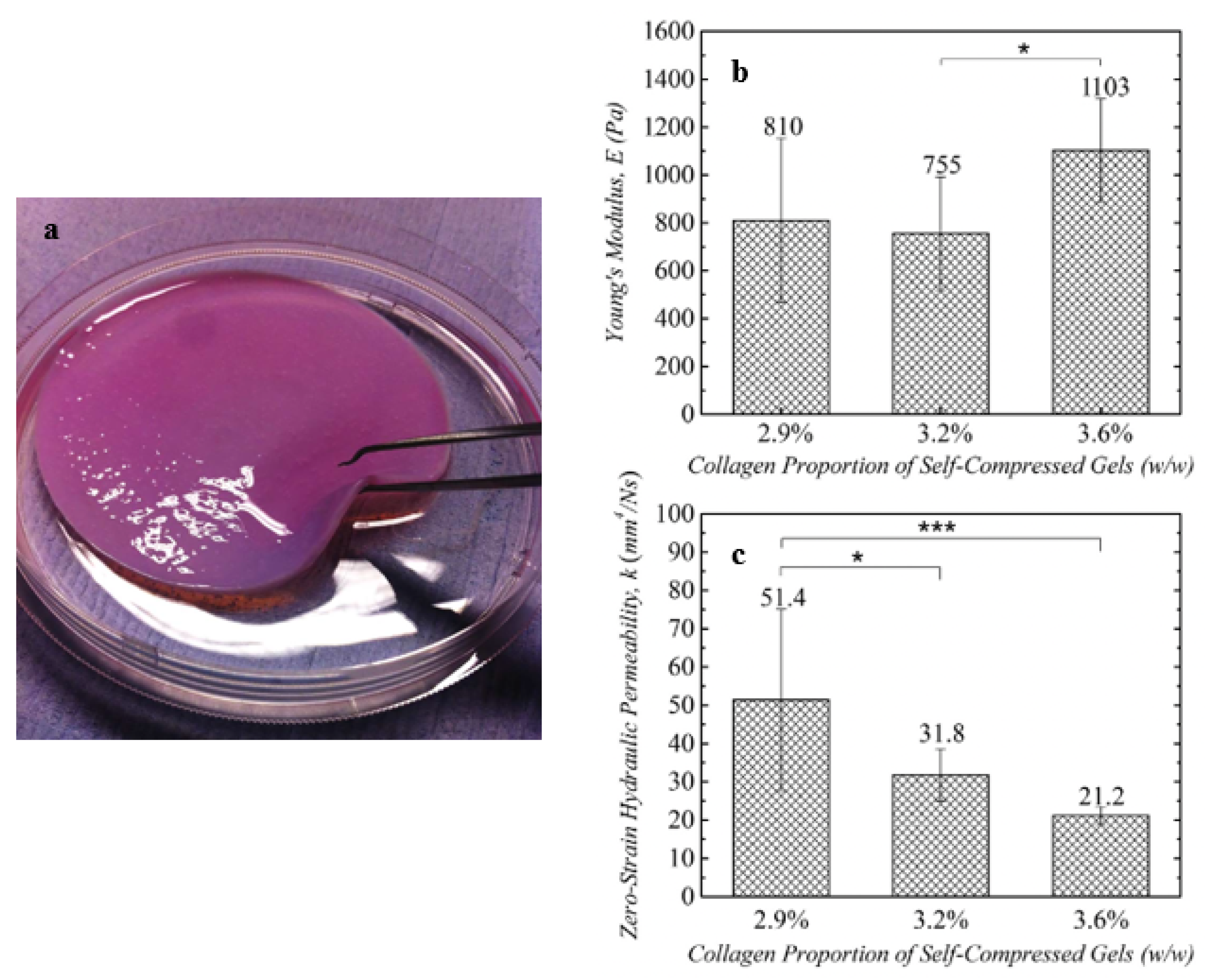 Macromol 05 00055 g007