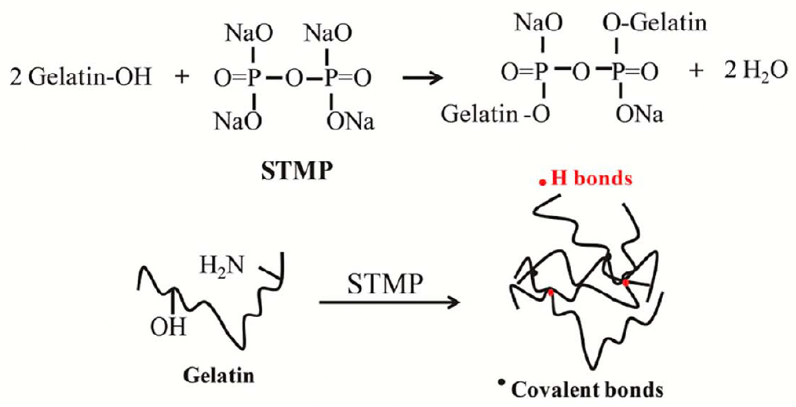 Macromol 05 00055 g008