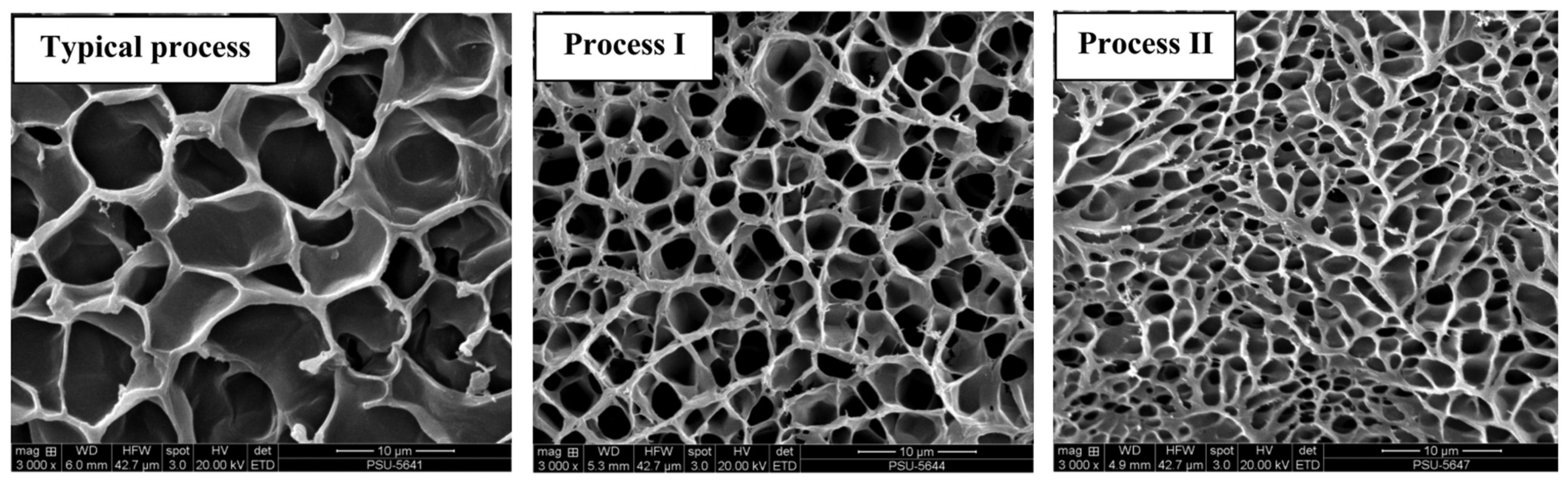 Macromol 05 00055 g009